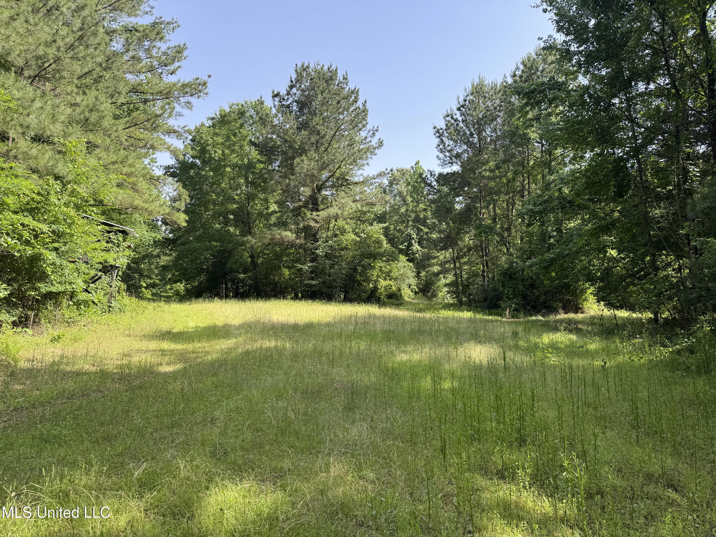 2550 Moncure Road, Terry, Mississippi image 34
