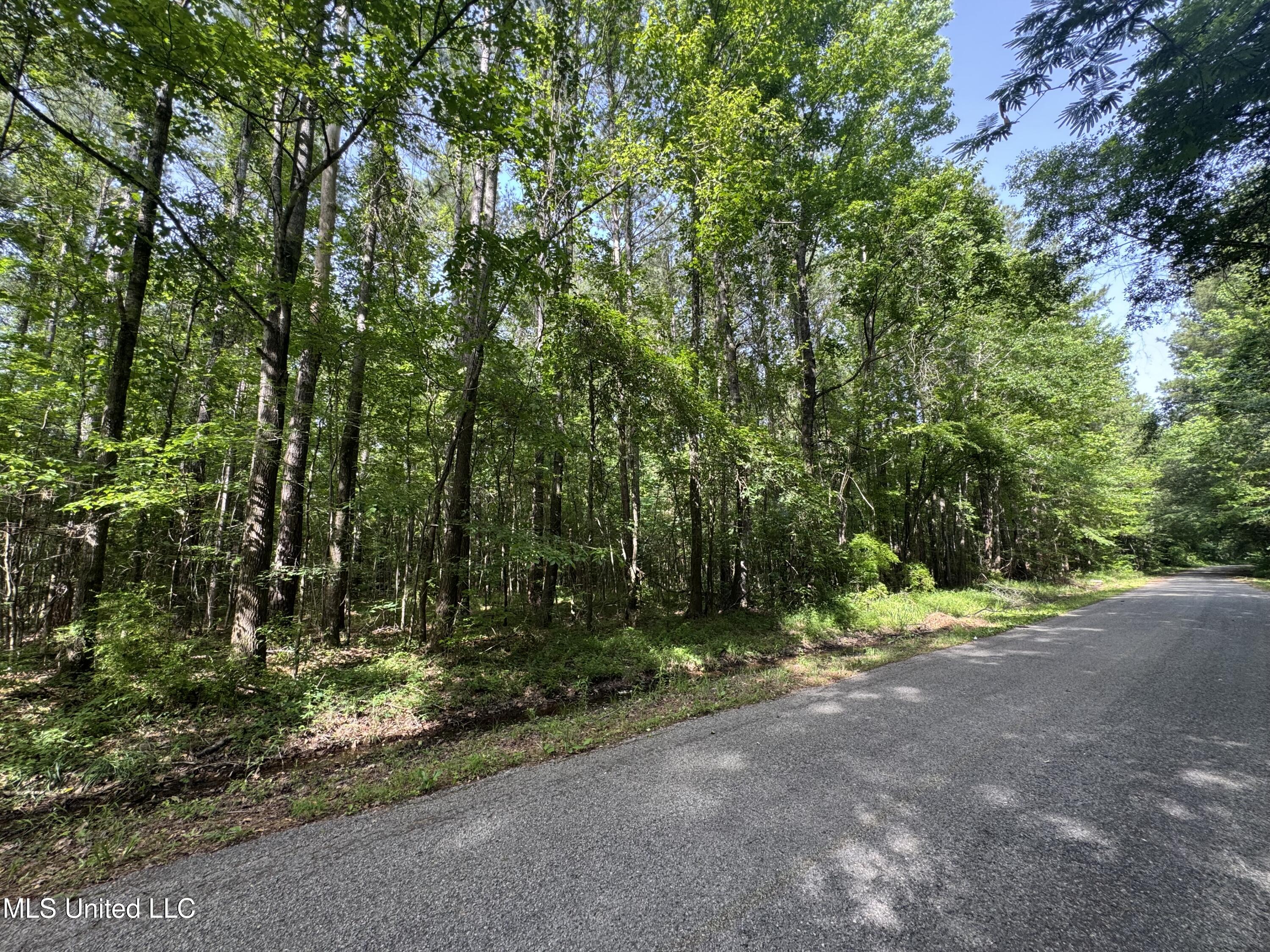 2550 Moncure Road, Terry, Mississippi image 40
