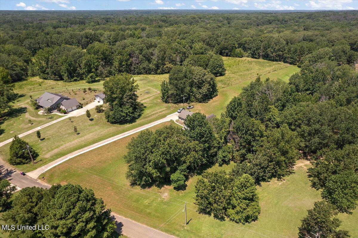 113 Chestnut Drive, Clinton, Mississippi image 39