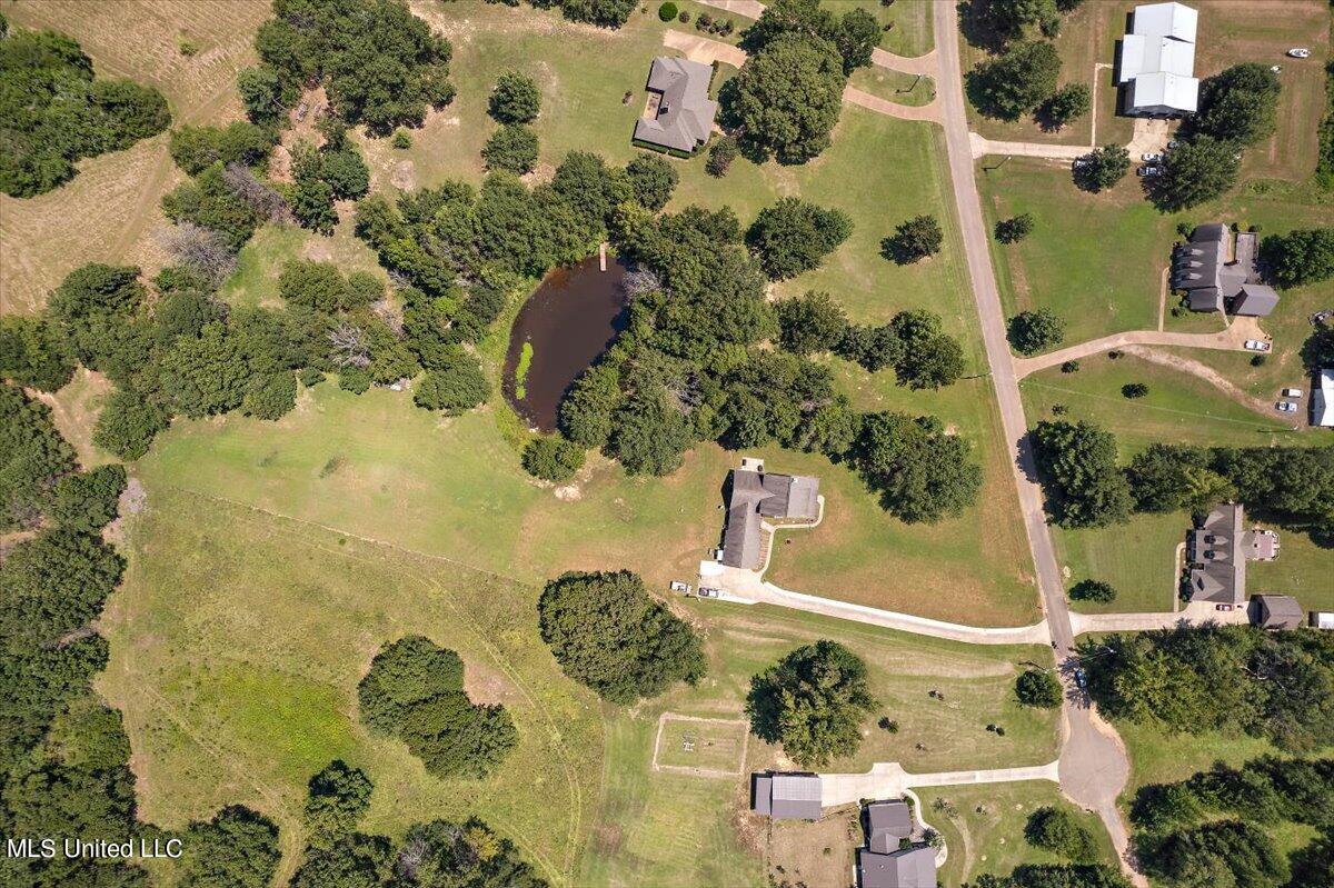 113 Chestnut Drive, Clinton, Mississippi image 35