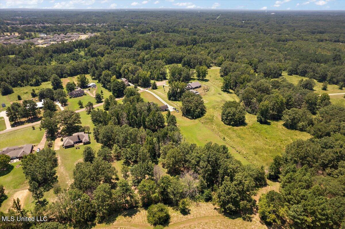 113 Chestnut Drive, Clinton, Mississippi image 43