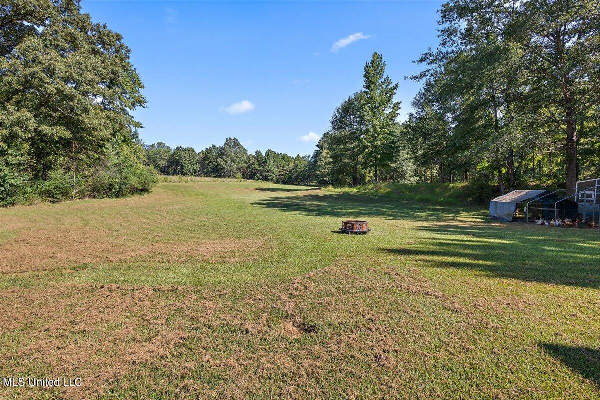 113 Chestnut Drive, Clinton, Mississippi image 32