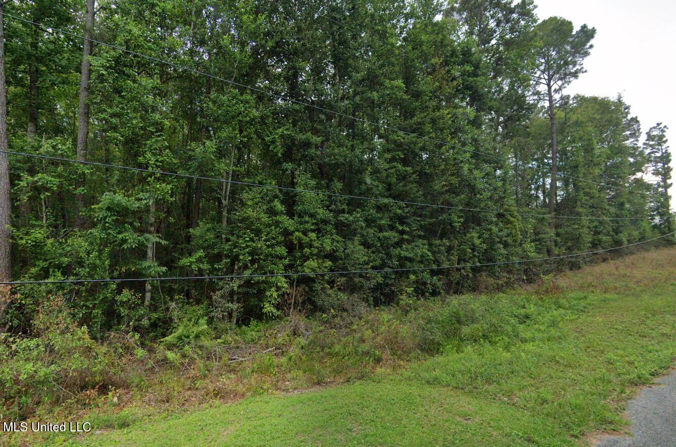 Nsn Dogwood Lane, Saucier, Mississippi image 2