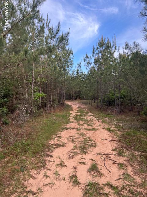 Vacant Land For Sale - Co Rd 230<br/> Clarke County, Shubuta, MS 39360