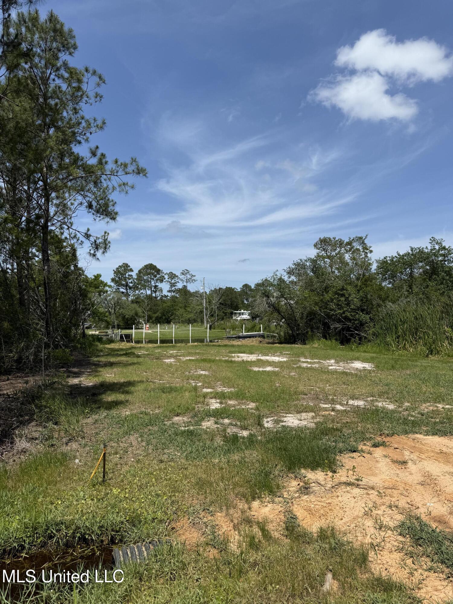 Dolphin Street, Bay Saint Louis, Mississippi image 5