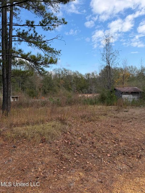 Vacant Land For Sale - 393 SW Cripple Lane<br/> Brookhaven, MS 39601