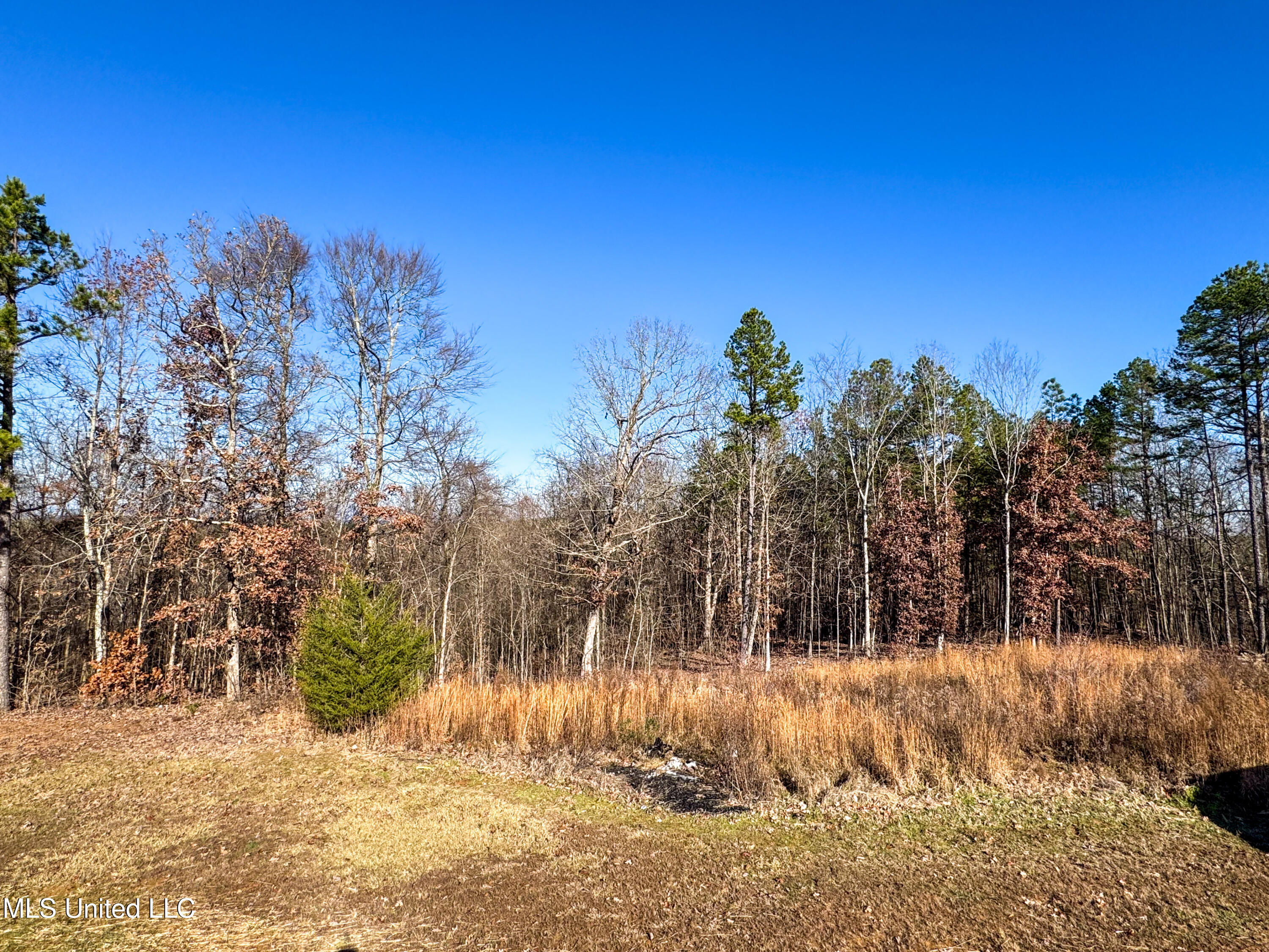 100 County Road 761, Walnut, Mississippi image 36