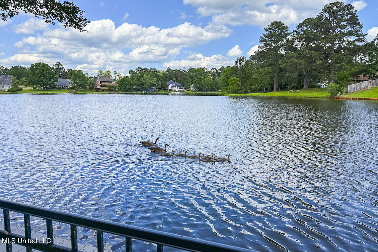 8 Spring Lake Point, Pearl, Mississippi image 2