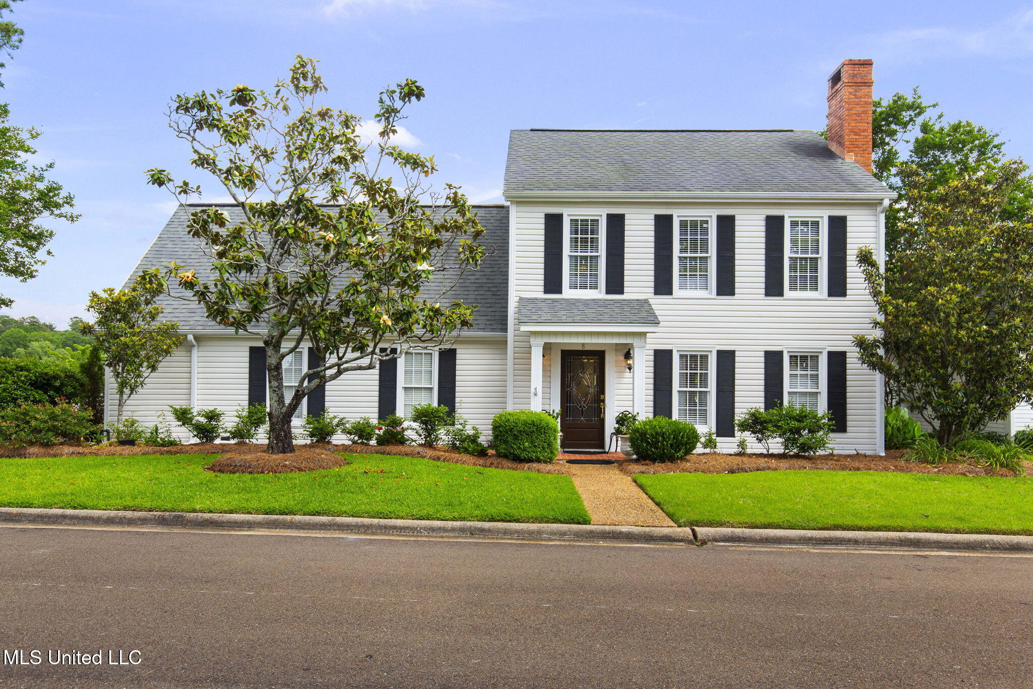 8 Spring Lake Point, Pearl, Mississippi image 1