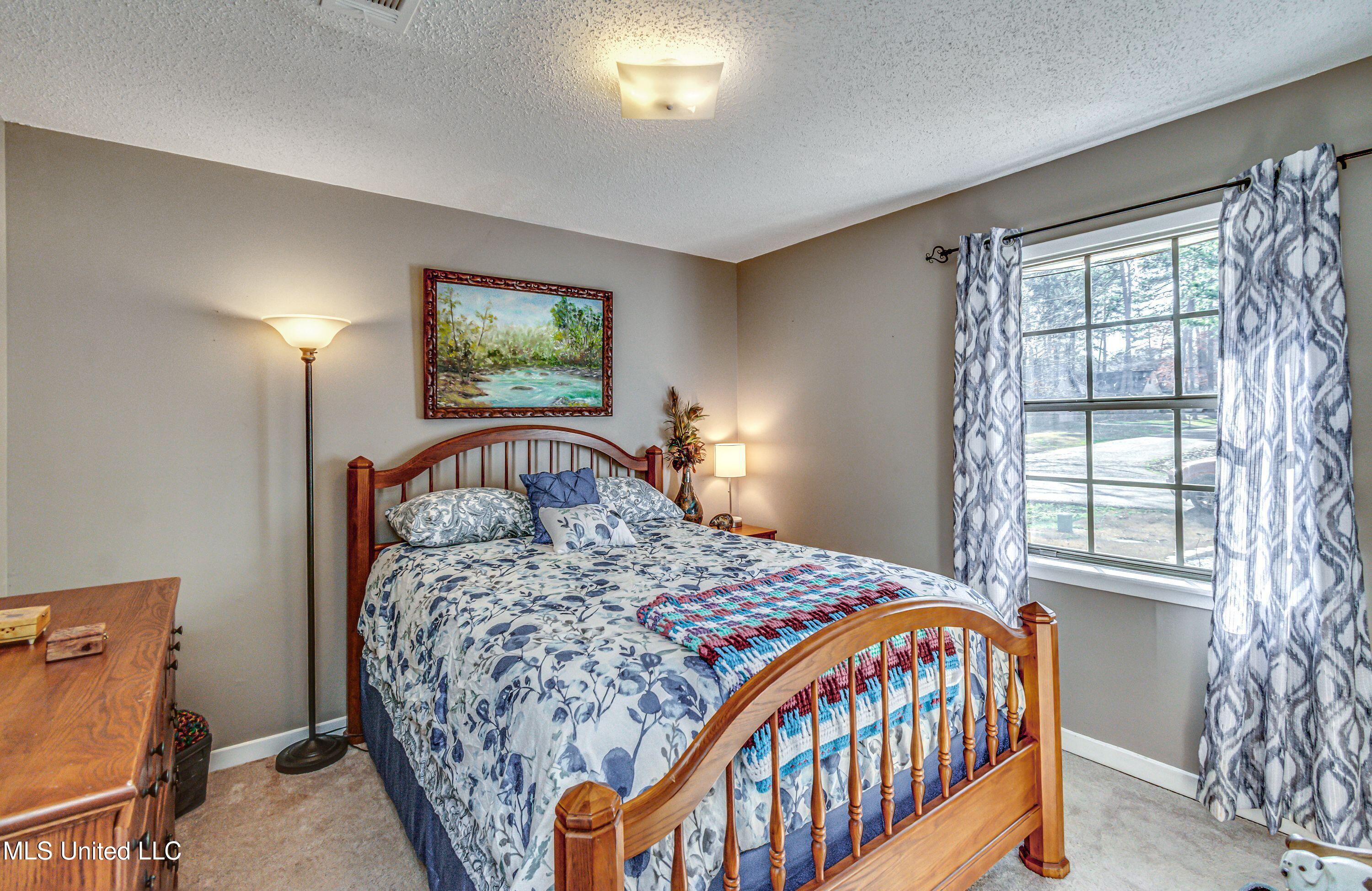 115 Bellegrove Circle, Brandon, Mississippi image 25