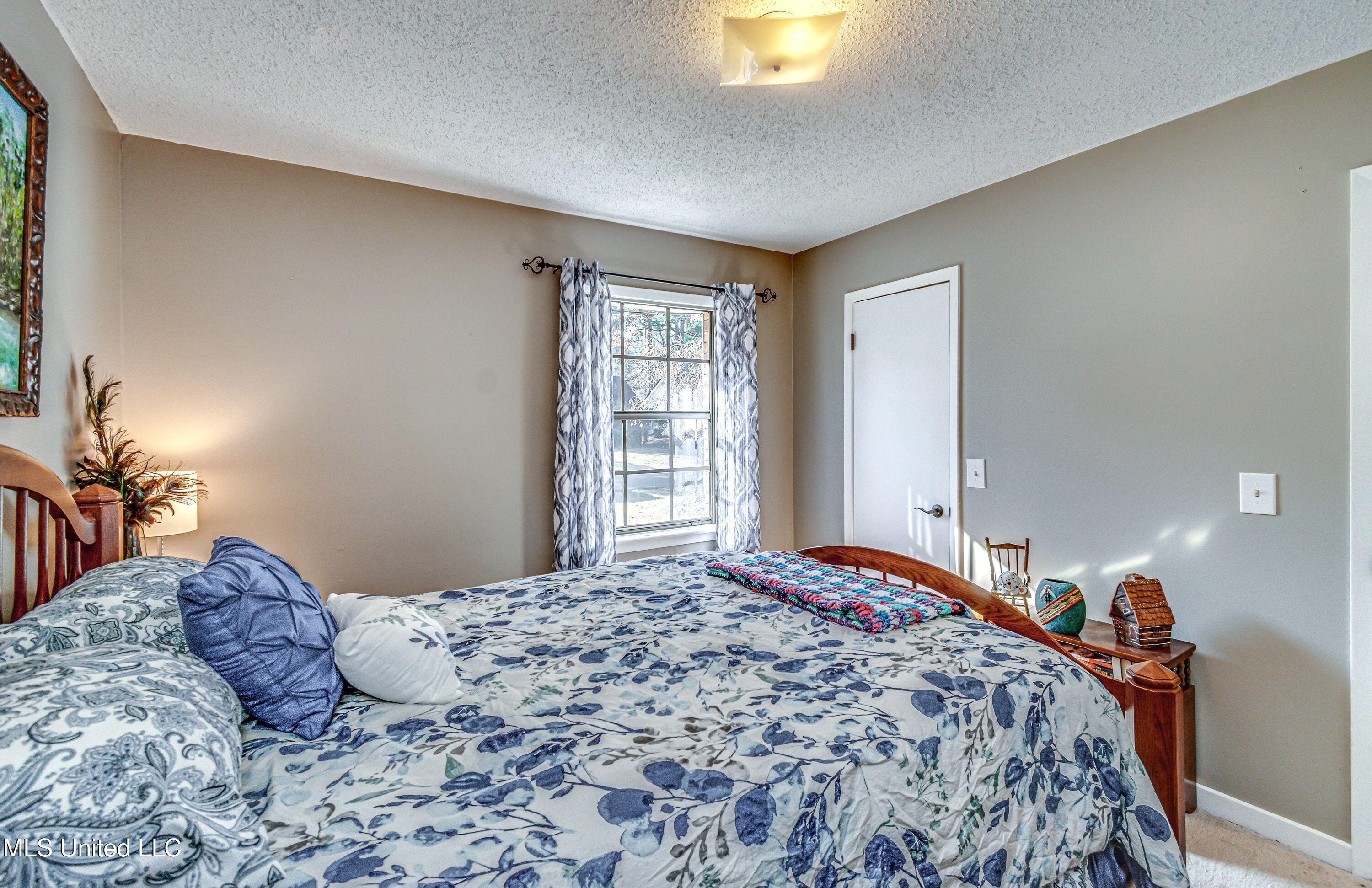 115 Bellegrove Circle, Brandon, Mississippi image 26