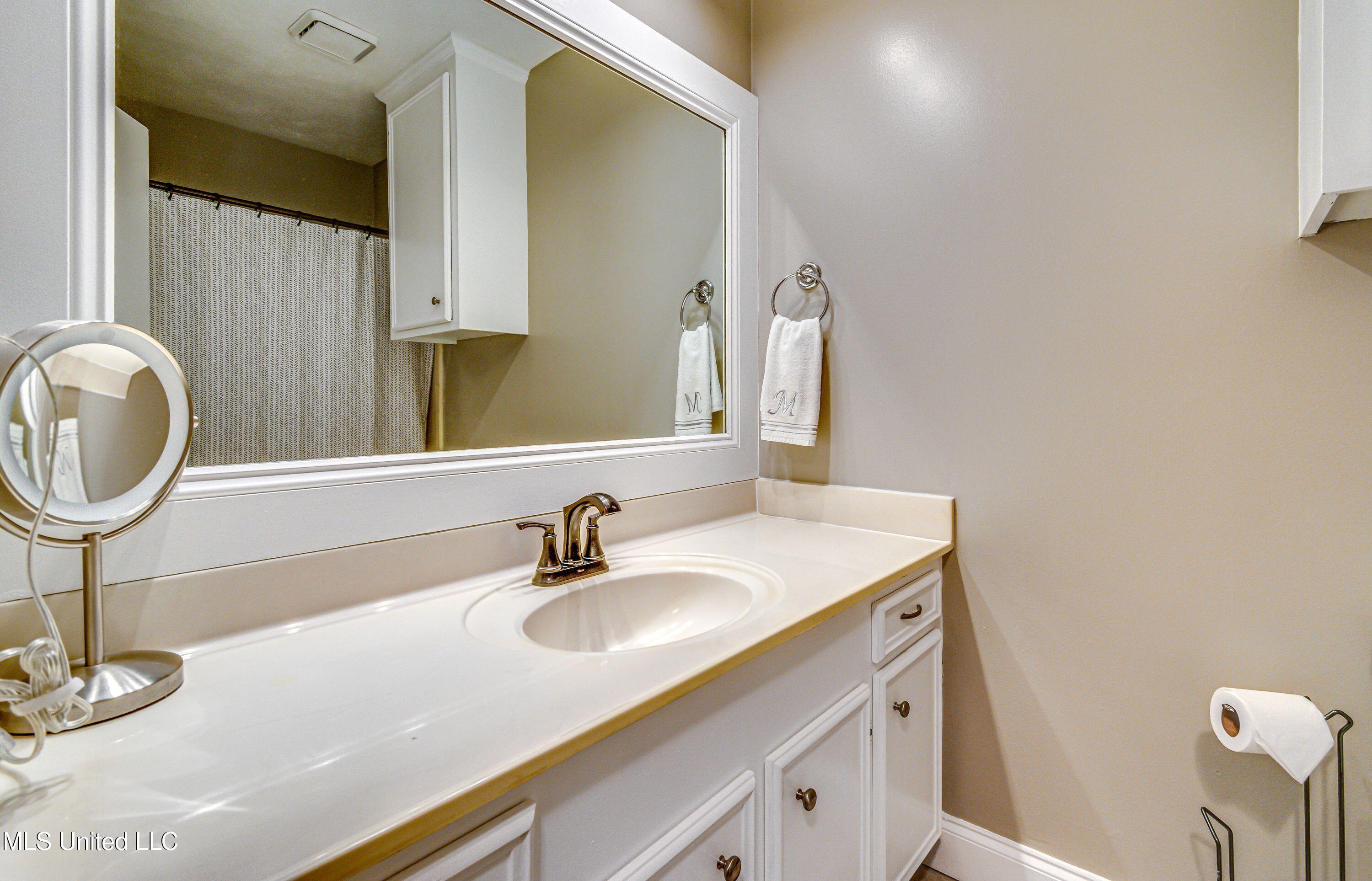 115 Bellegrove Circle, Brandon, Mississippi image 30