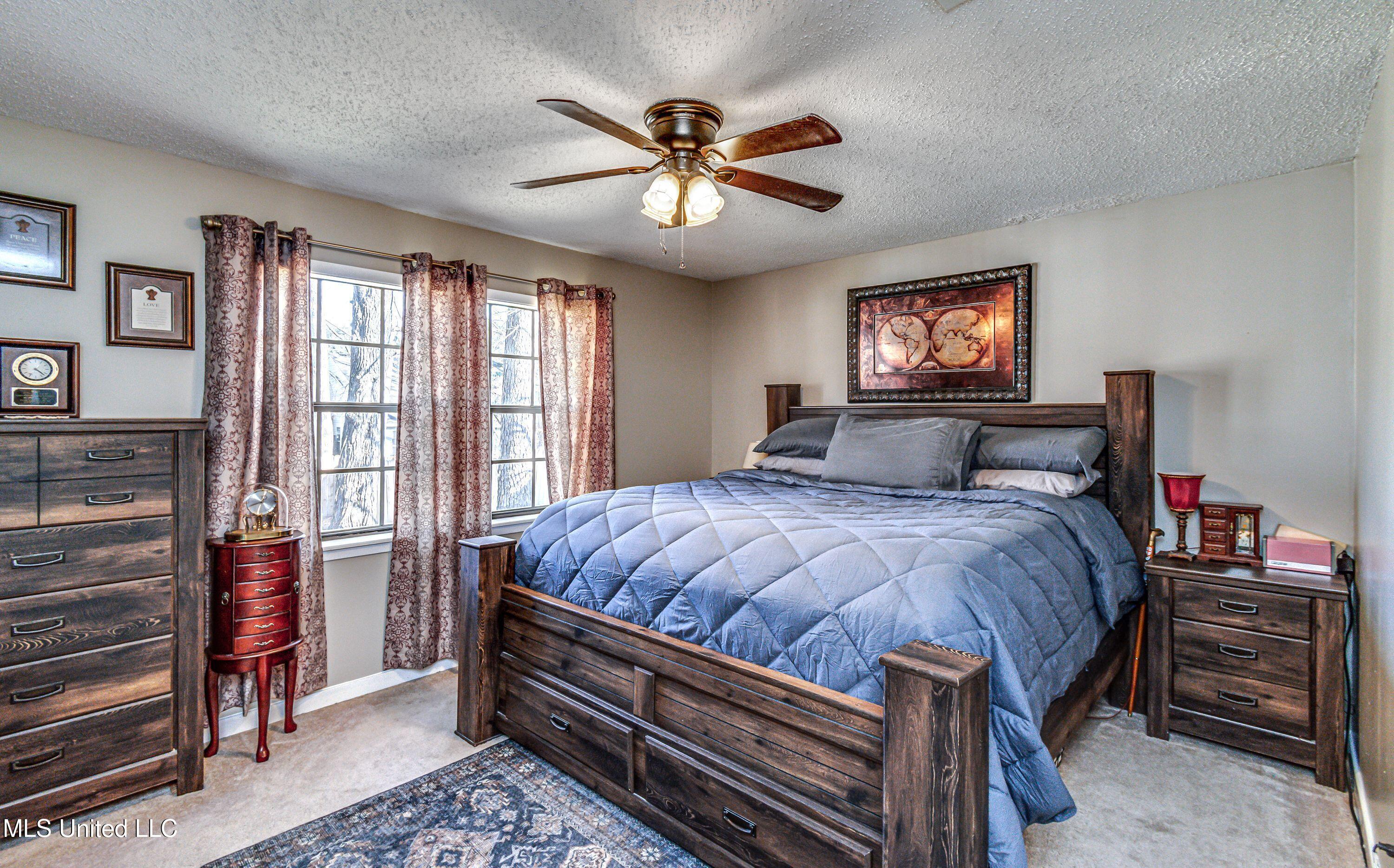 115 Bellegrove Circle, Brandon, Mississippi image 31
