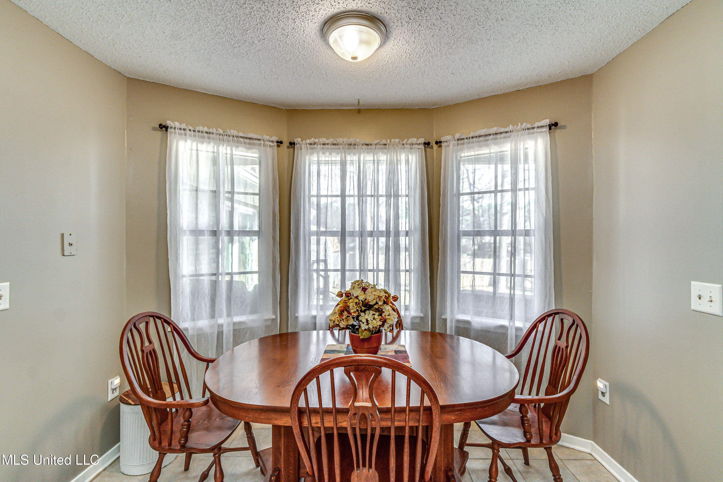 115 Bellegrove Circle, Brandon, Mississippi image 19