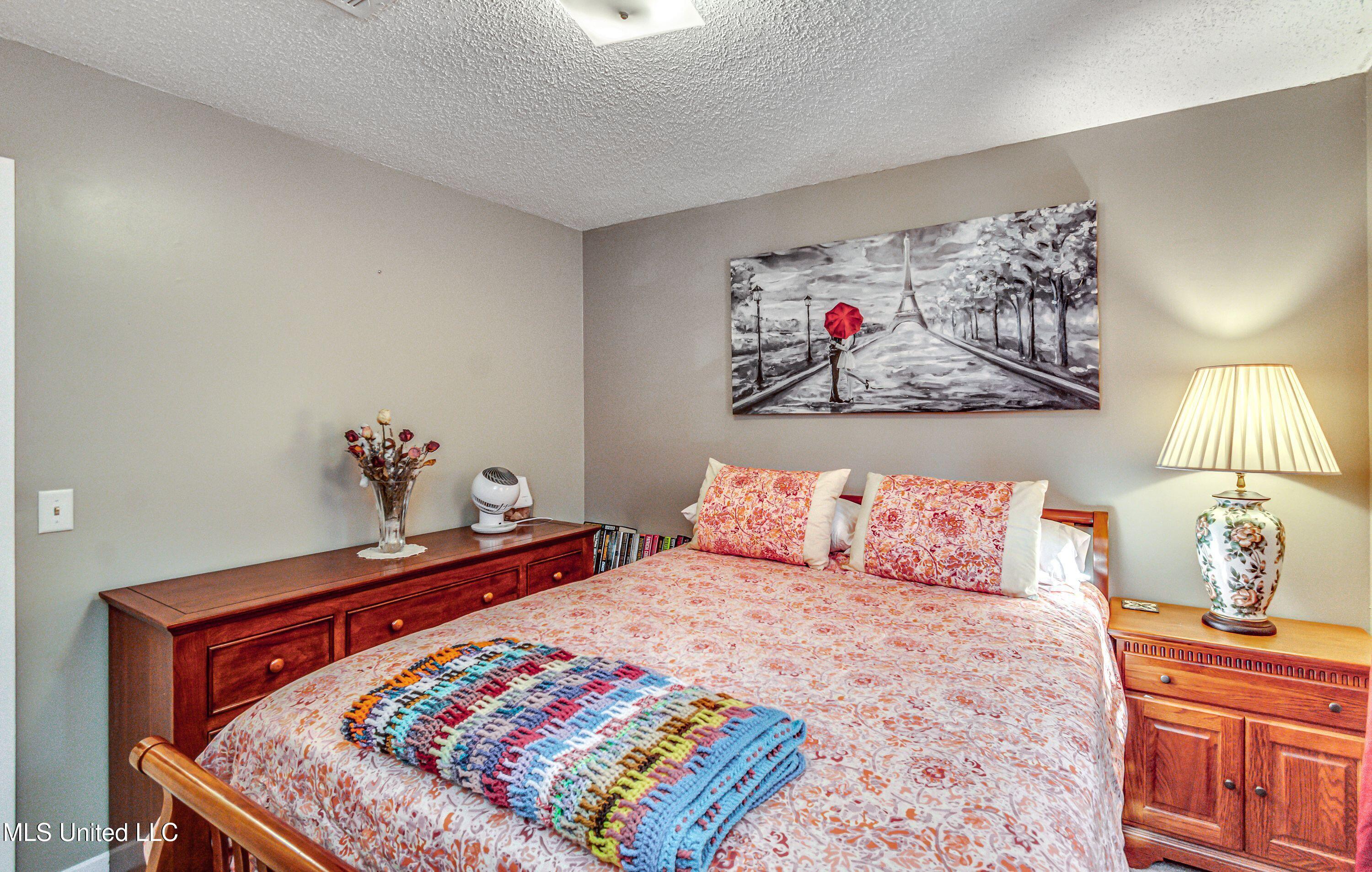 115 Bellegrove Circle, Brandon, Mississippi image 27