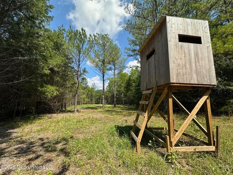 Vacant Land For Sale - 5 Forest Service Road 562<br/> Scott County, Pulaski, MS 39152