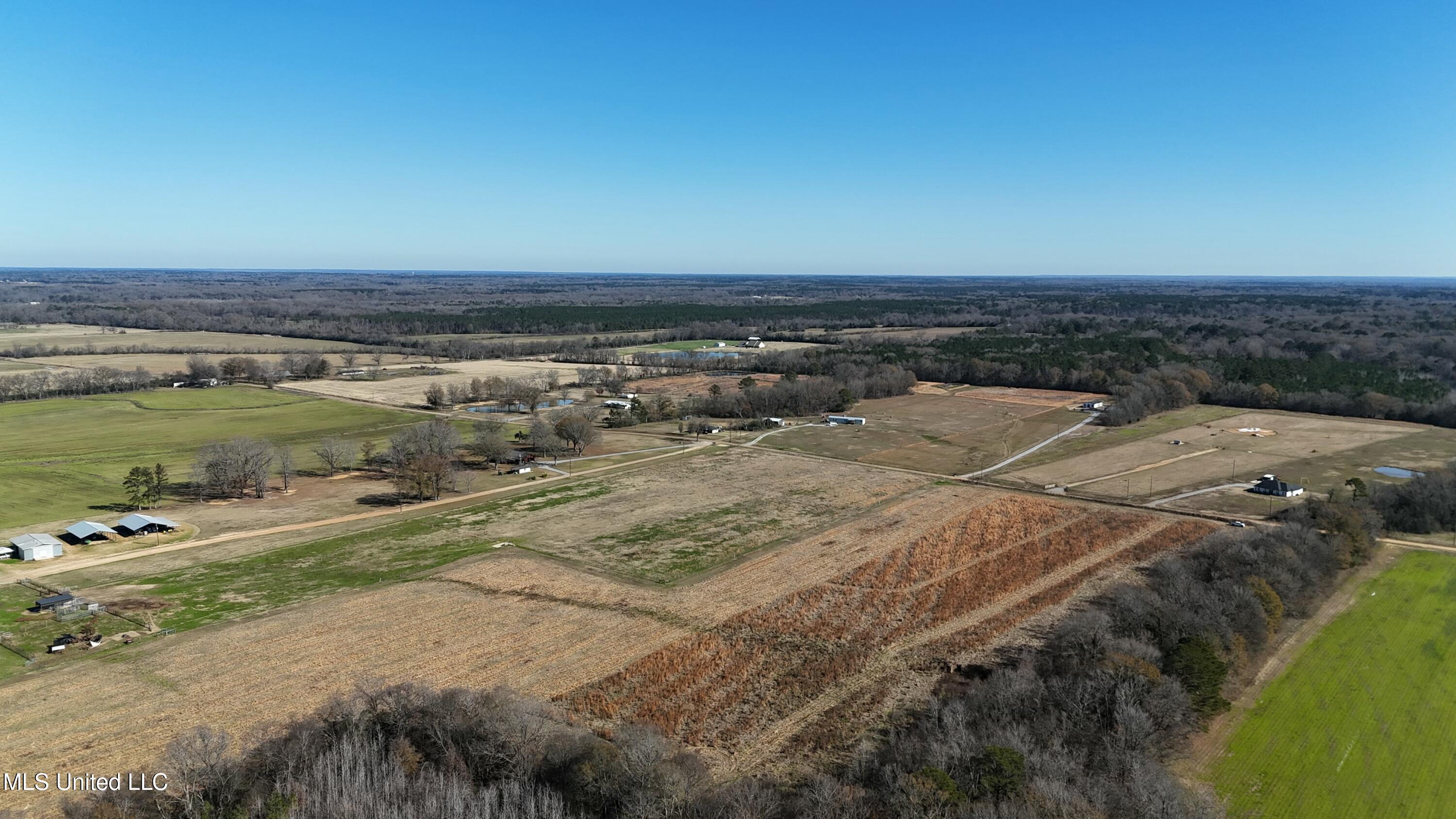 Endris Road, Canton, Mississippi image 10