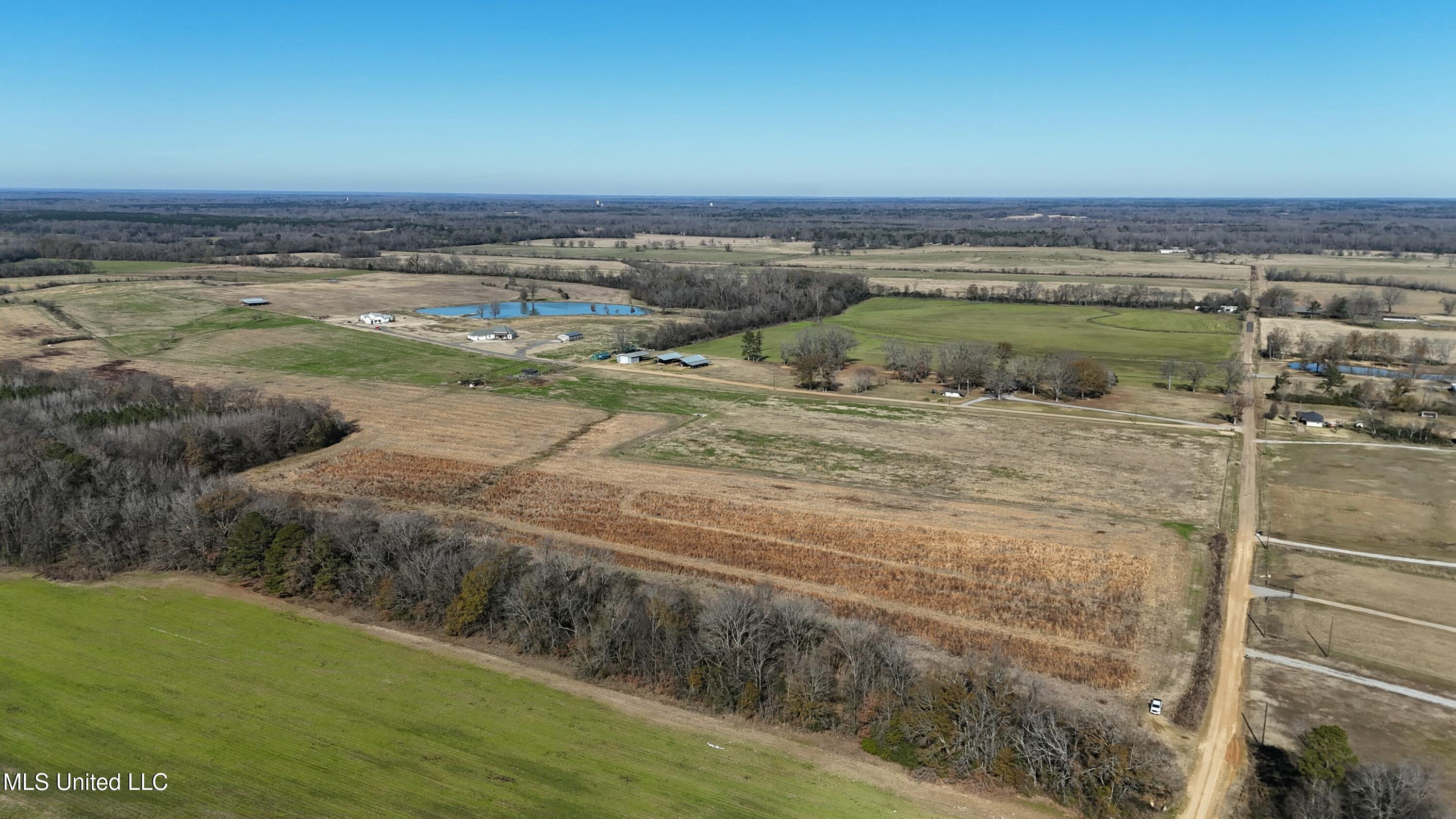 Endris Road, Canton, Mississippi image 6