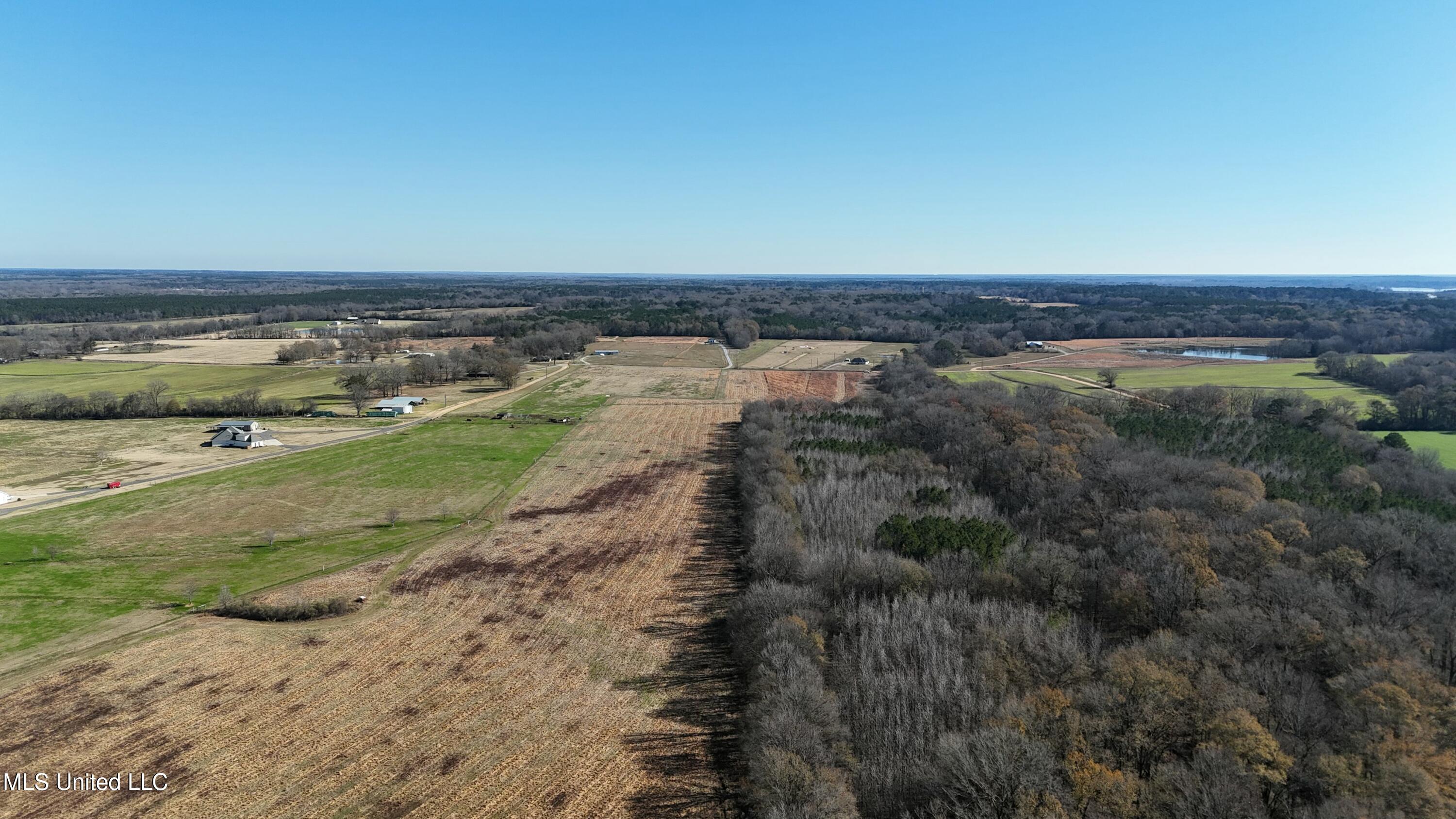 Endris Road, Canton, Mississippi image 12