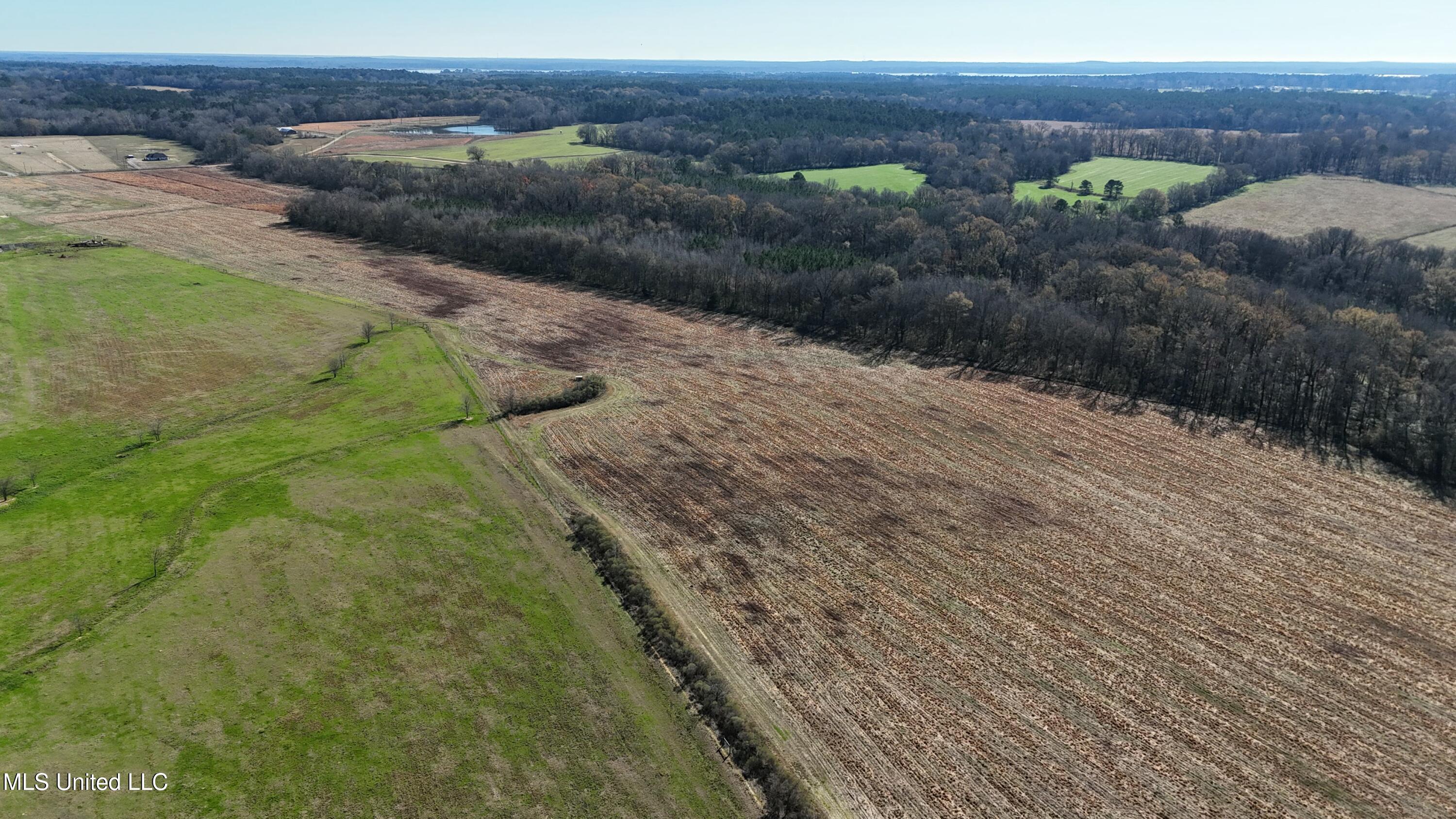 Endris Road, Canton, Mississippi image 13