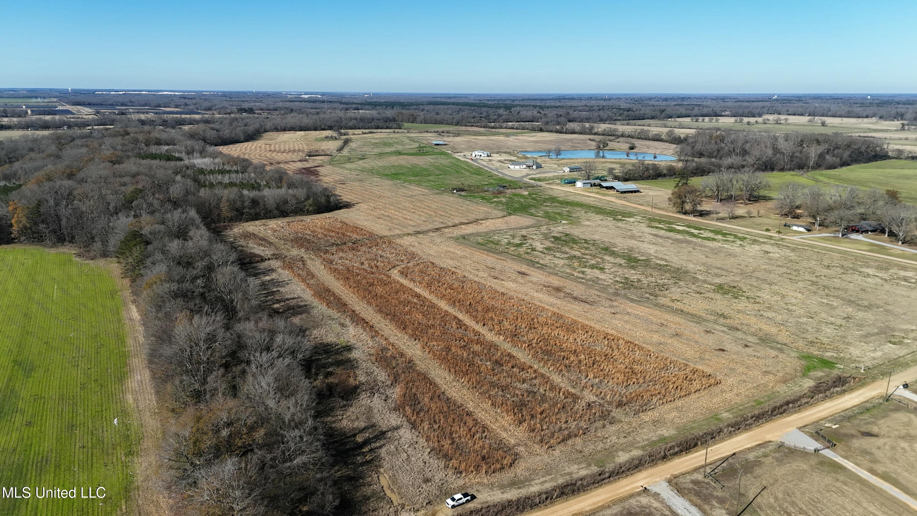 Endris Road, Canton, Mississippi image 4