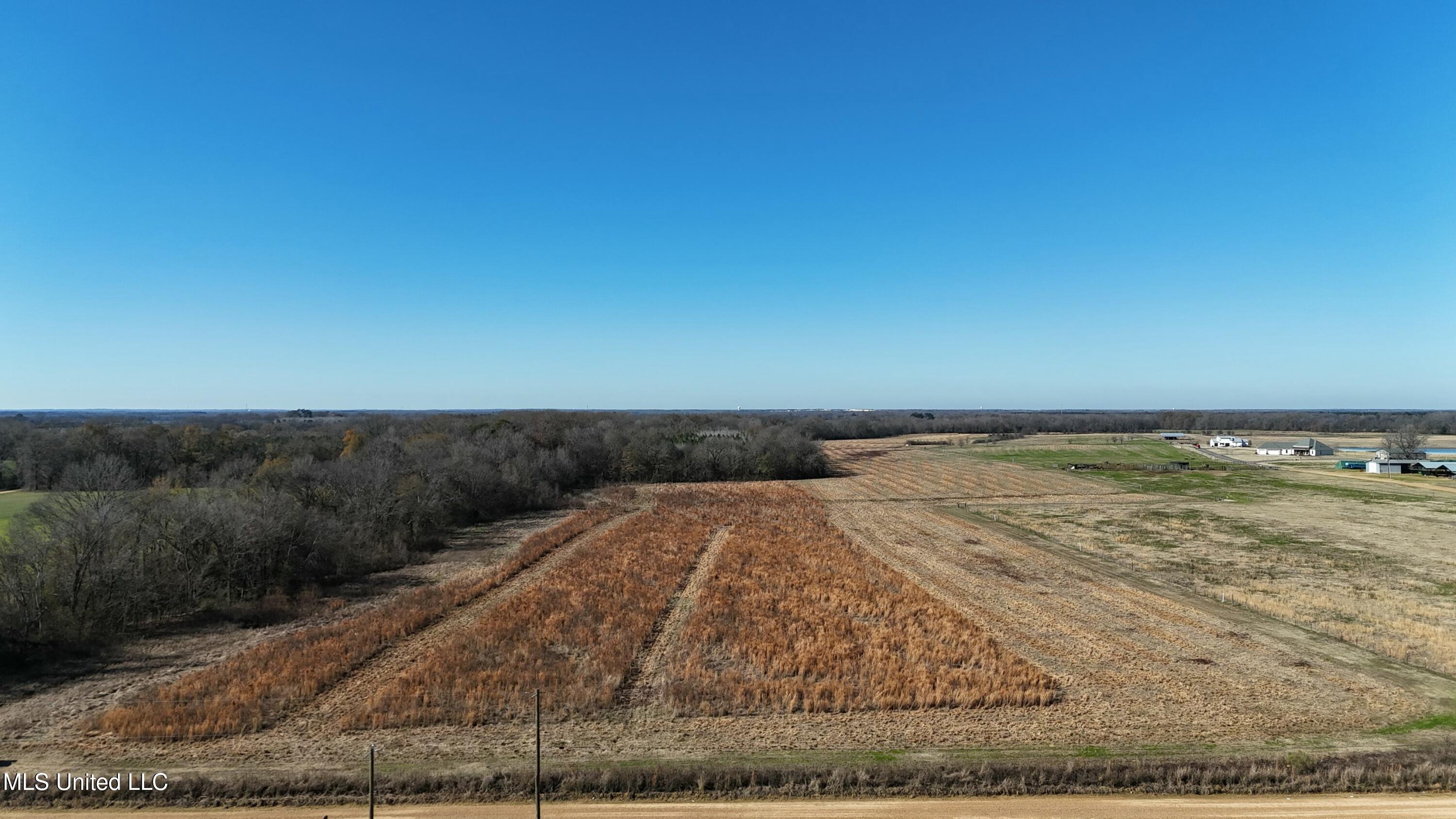 Endris Road, Canton, Mississippi image 2