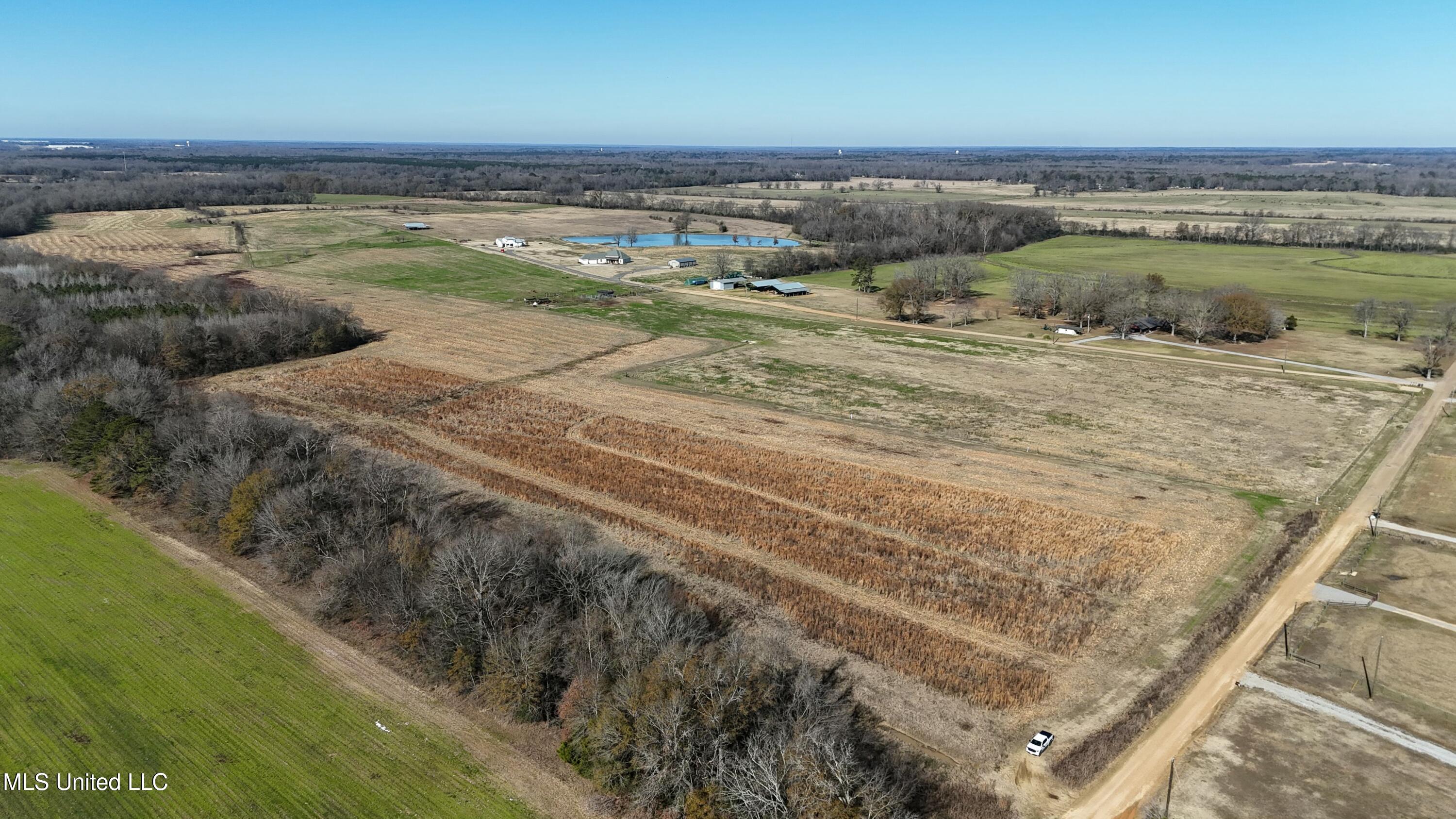 Endris Road, Canton, Mississippi image 5