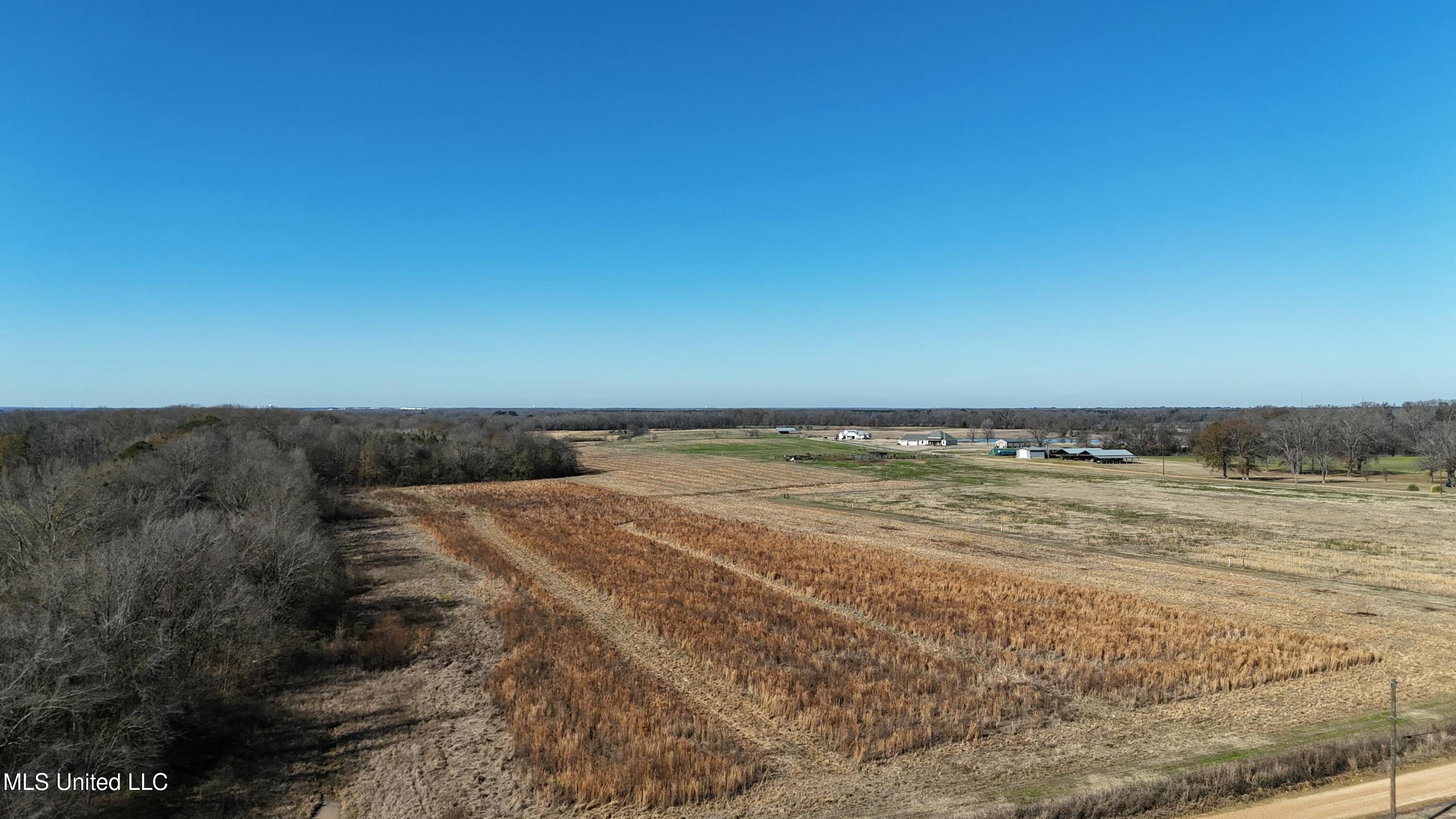 Endris Road, Canton, Mississippi image 1