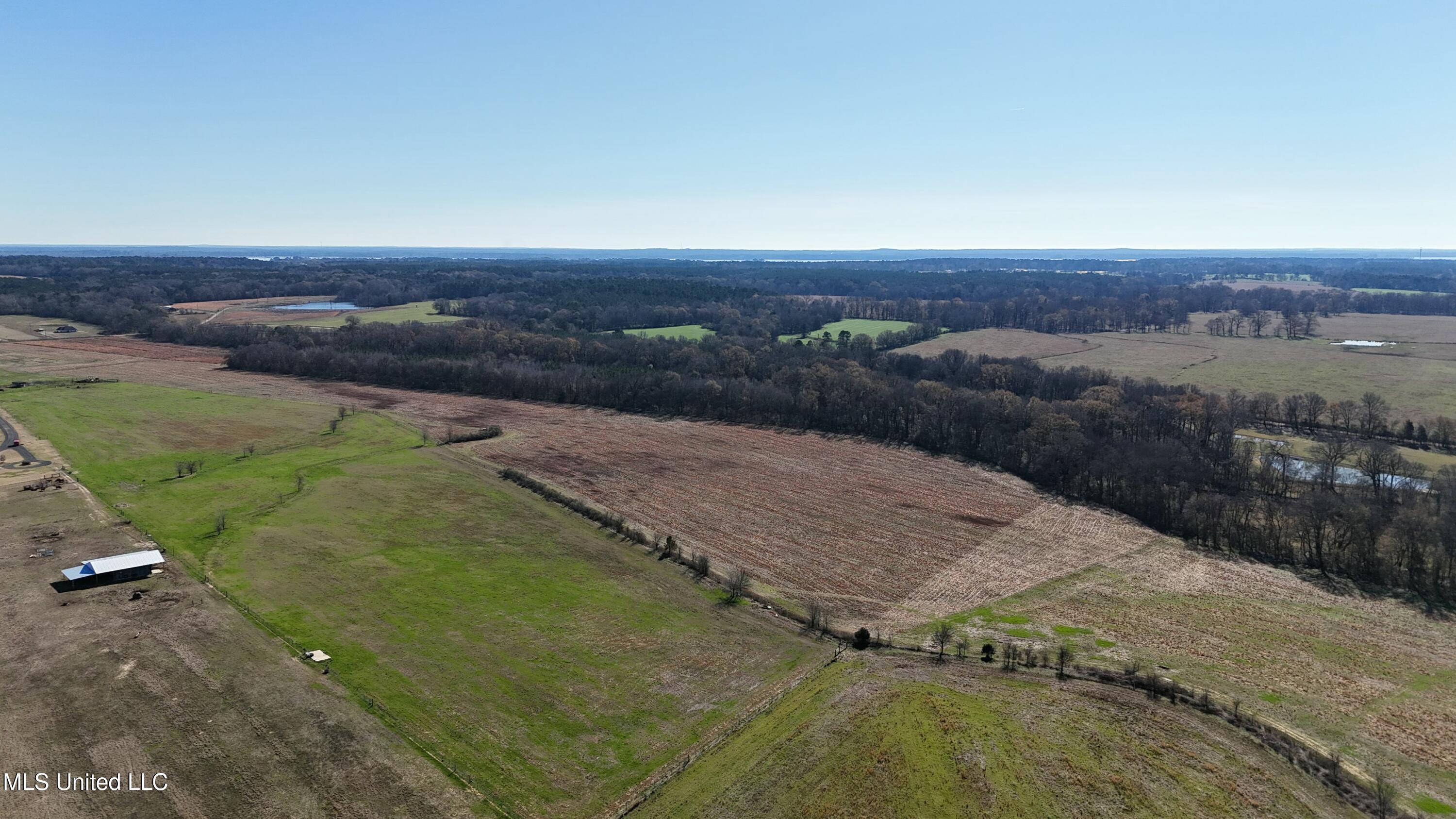 Endris Road, Canton, Mississippi image 14