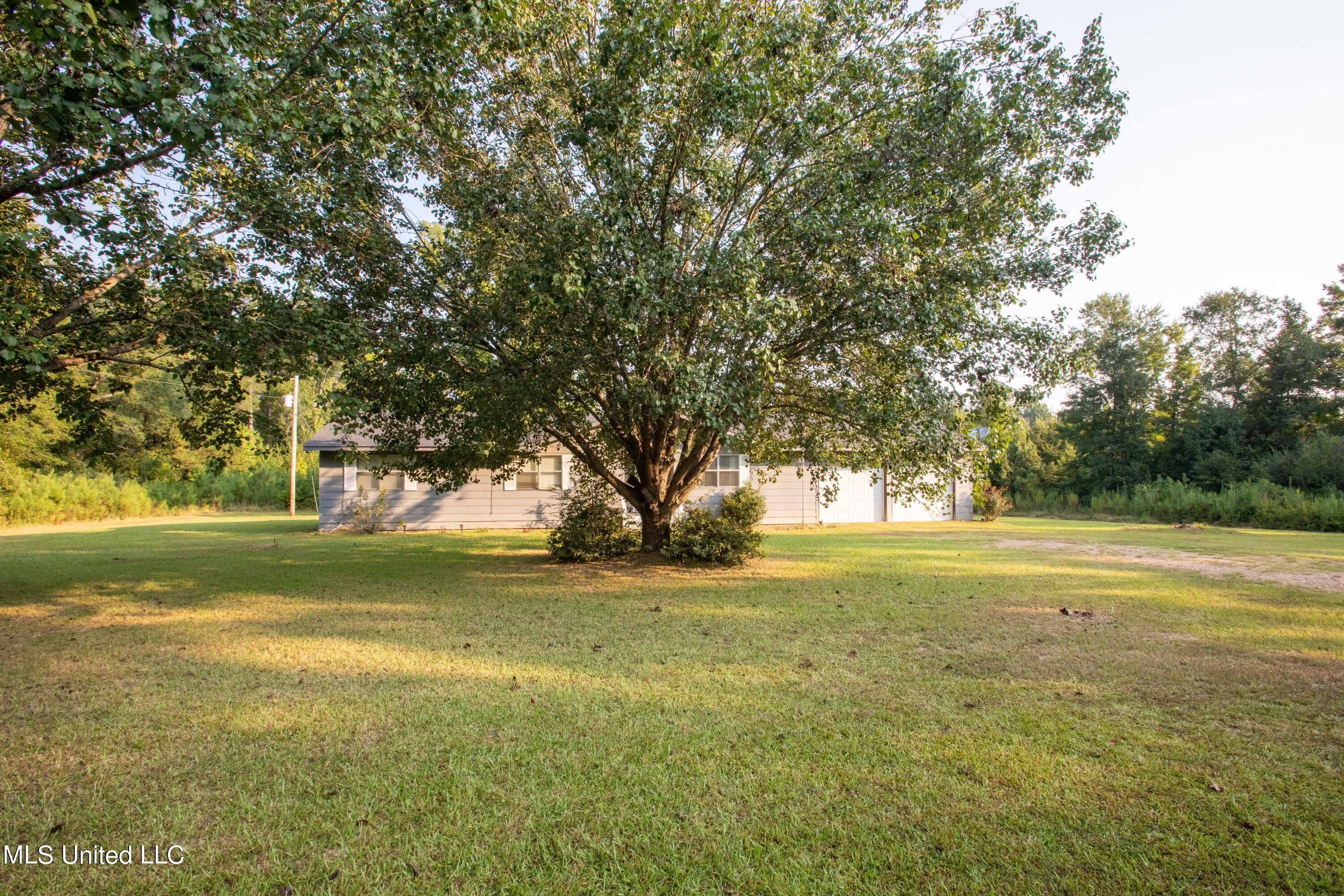 3411 Cook Road, Edwards, Mississippi image 5