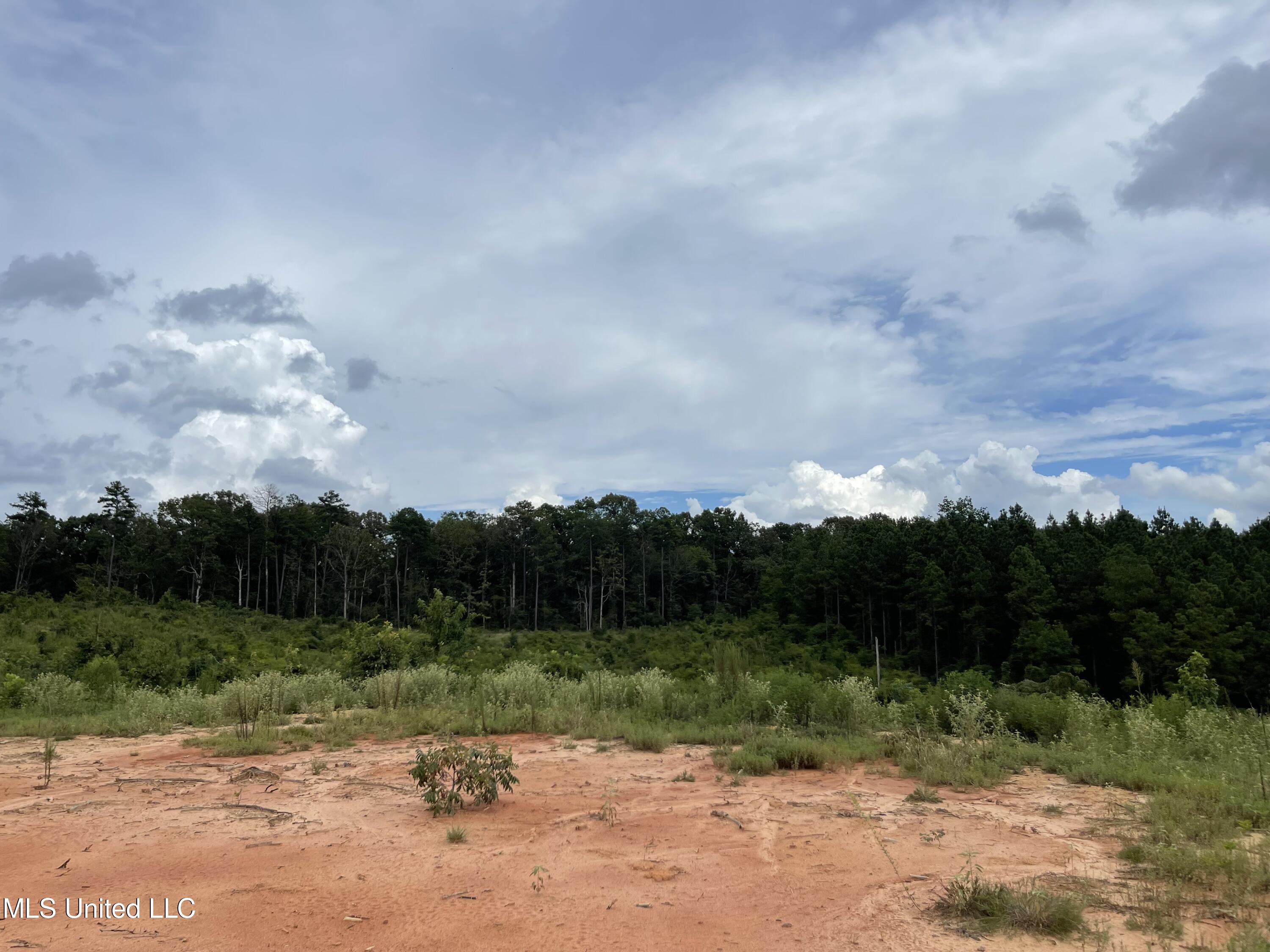 000 Rd 339, Philadelphia, Mississippi image 18