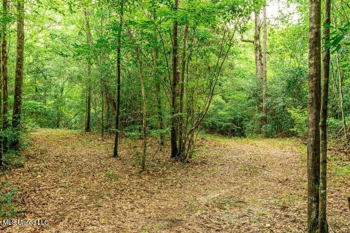 25.5 Acres Canty Rayborn Road, Sumrall, Mississippi image 7