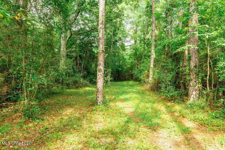 25.5 Acres Canty Rayborn Road, Sumrall, Mississippi image 14