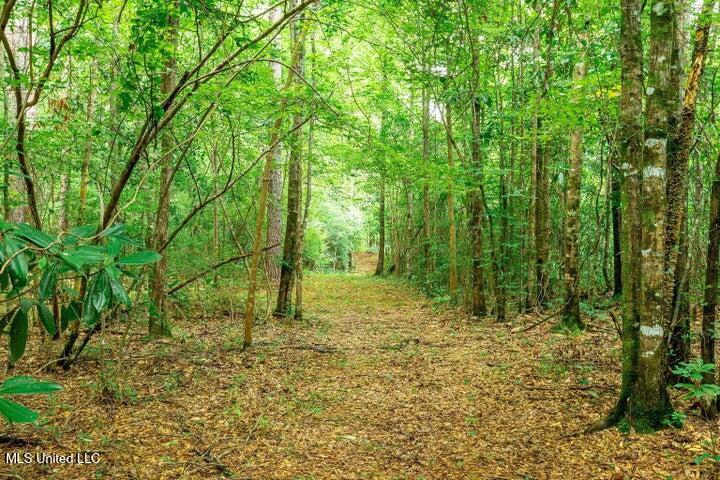 25.5 Acres Canty Rayborn Road, Sumrall, Mississippi image 8