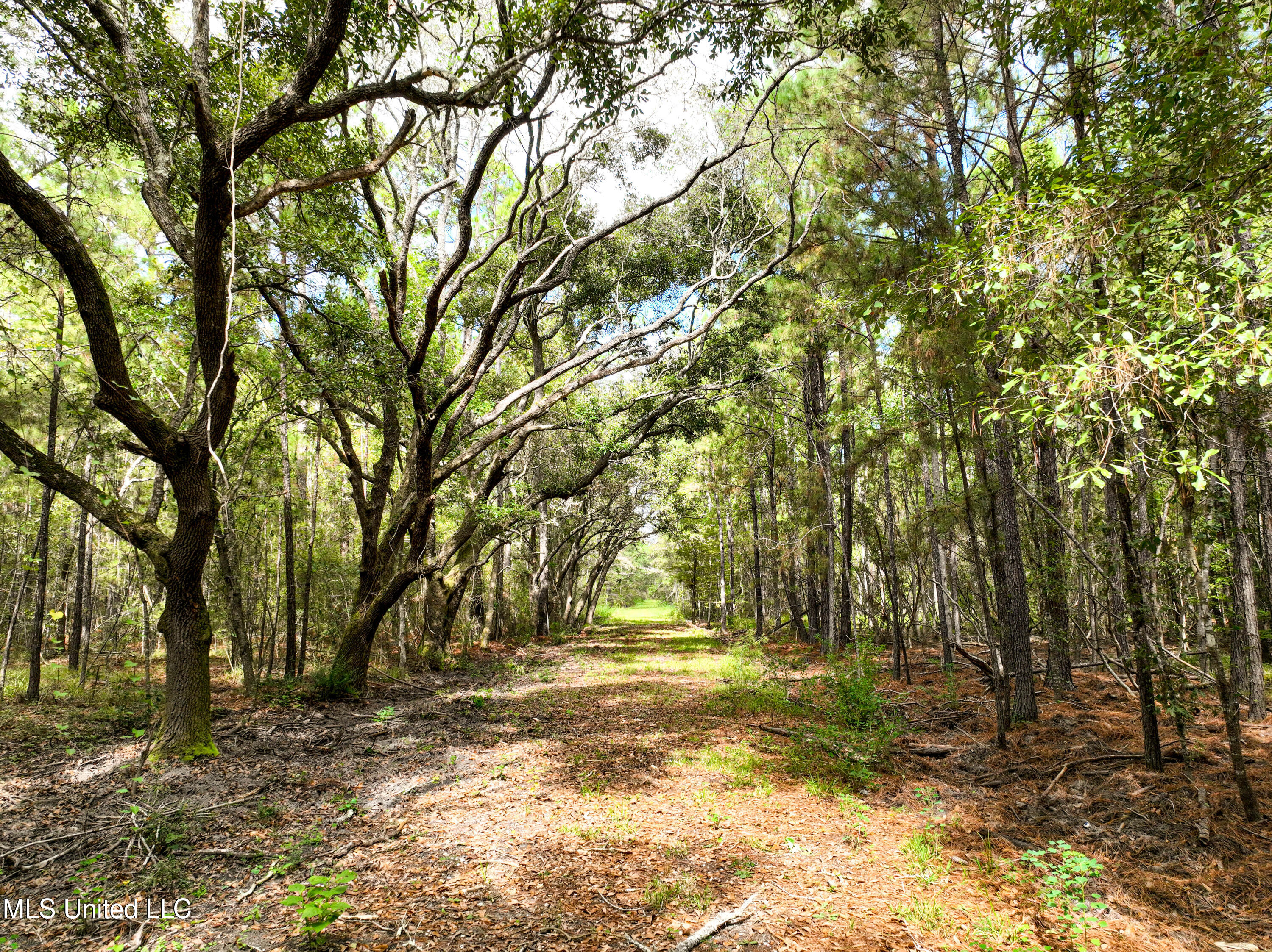 00000000 Lower Bay Road, Bay Saint Louis, Mississippi image 20