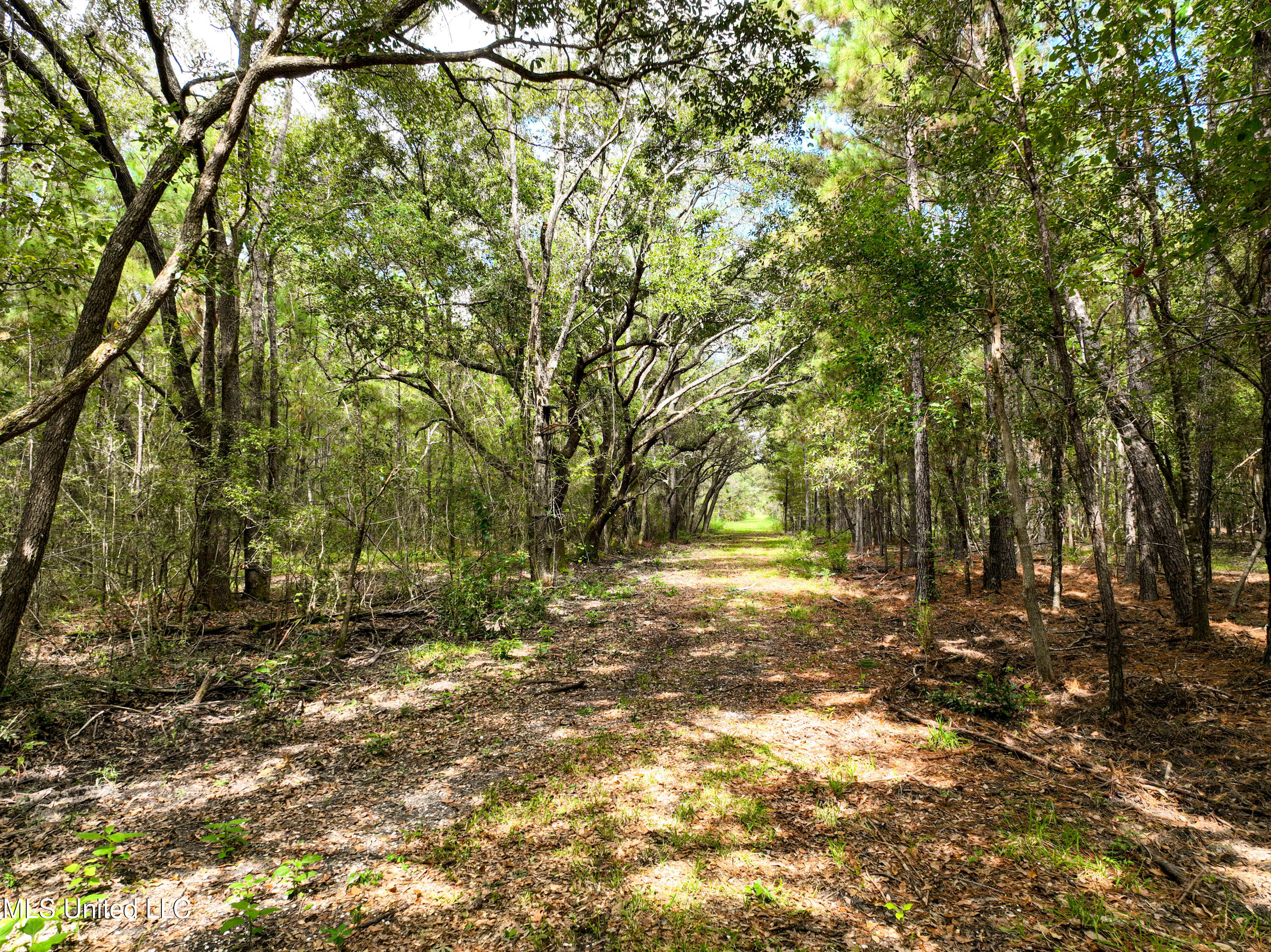 00000000 Lower Bay Road, Bay Saint Louis, Mississippi image 18