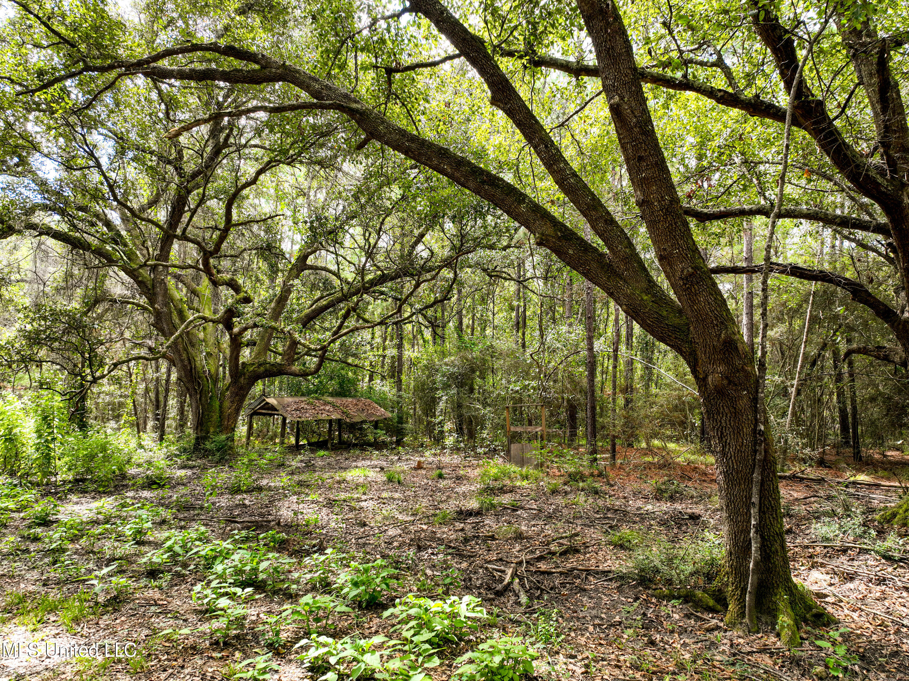 00000000 Lower Bay Road, Bay Saint Louis, Mississippi image 17