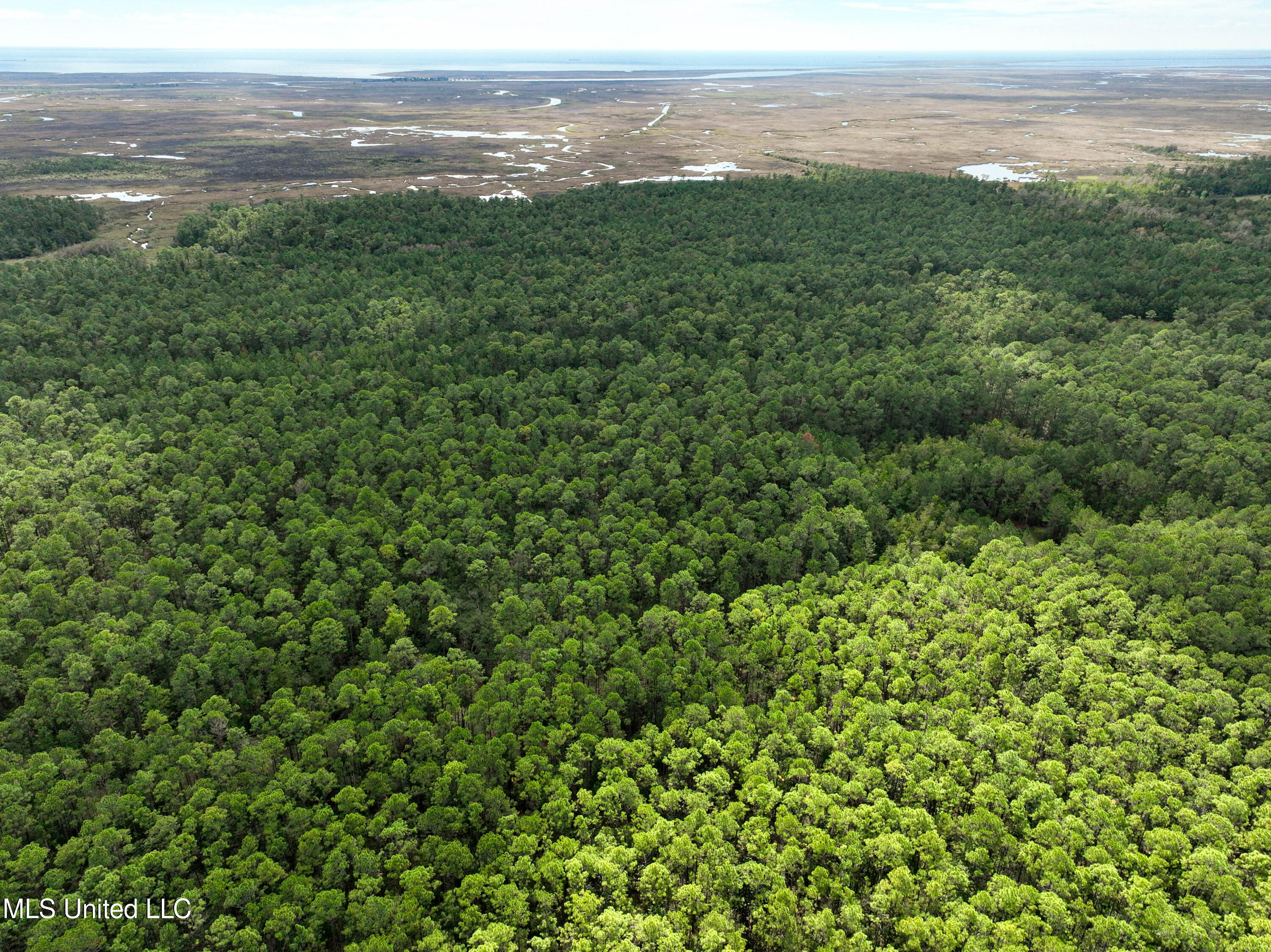 00000000 Lower Bay Road, Bay Saint Louis, Mississippi image 1