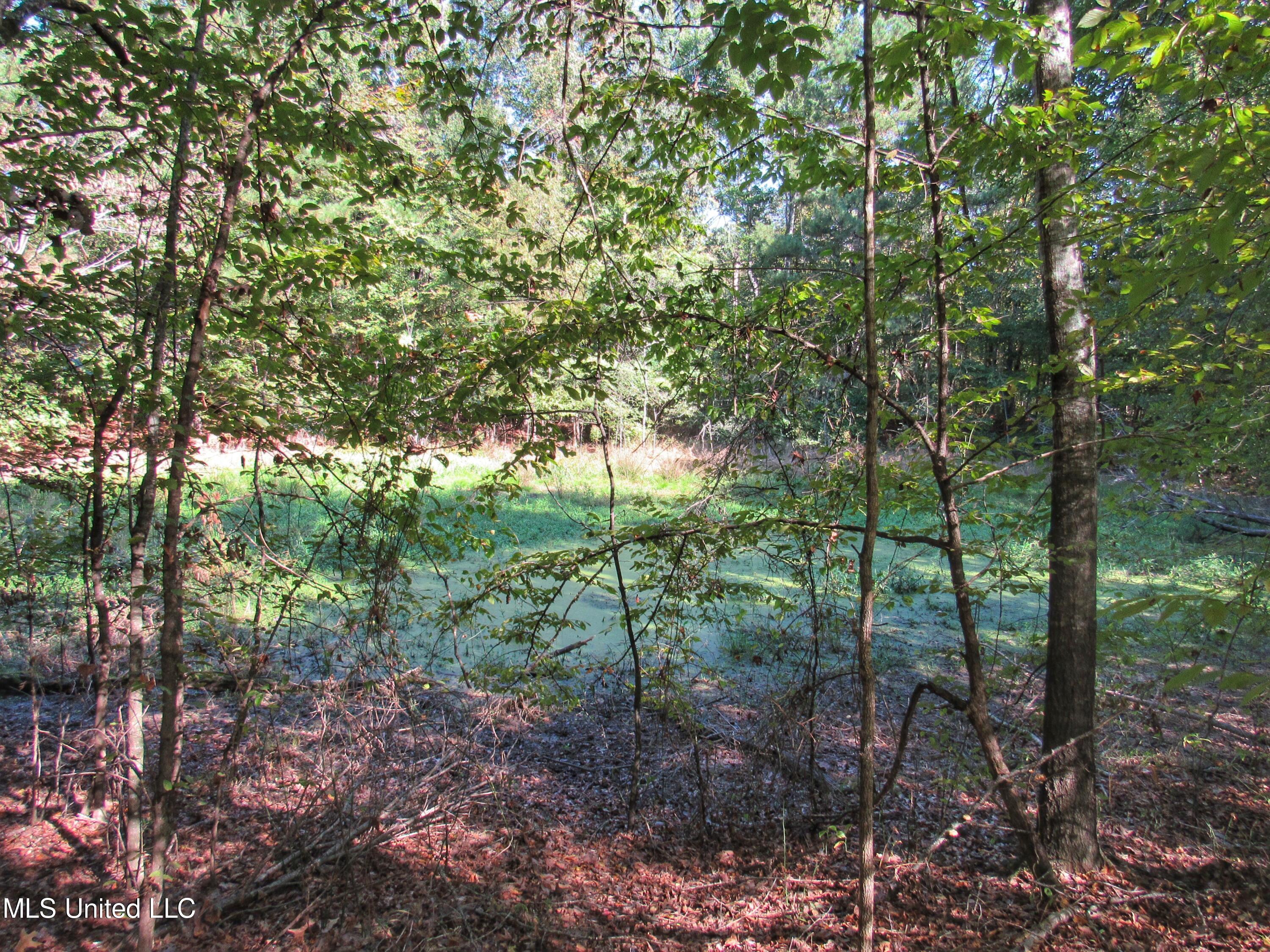 Anding Oil City Road, Bentonia, Mississippi image 10