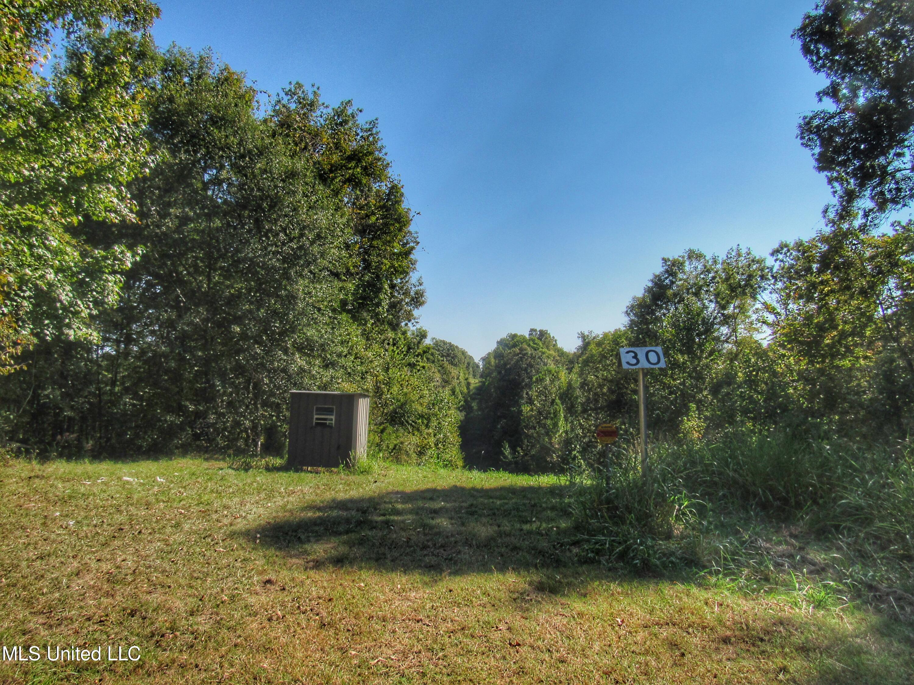 Anding Oil City Road, Bentonia, Mississippi image 14