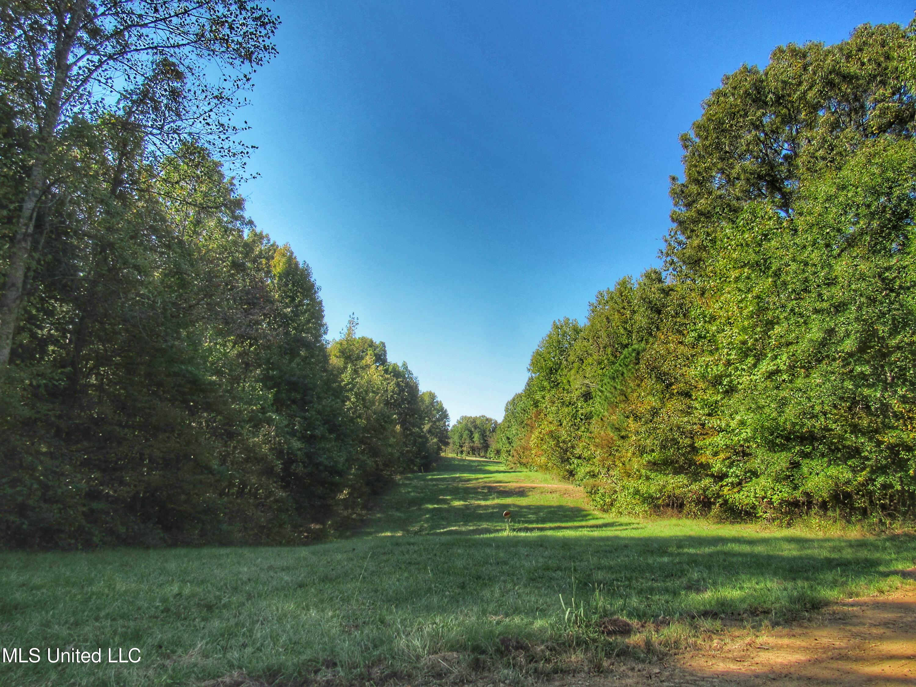 Anding Oil City Road, Bentonia, Mississippi image 9