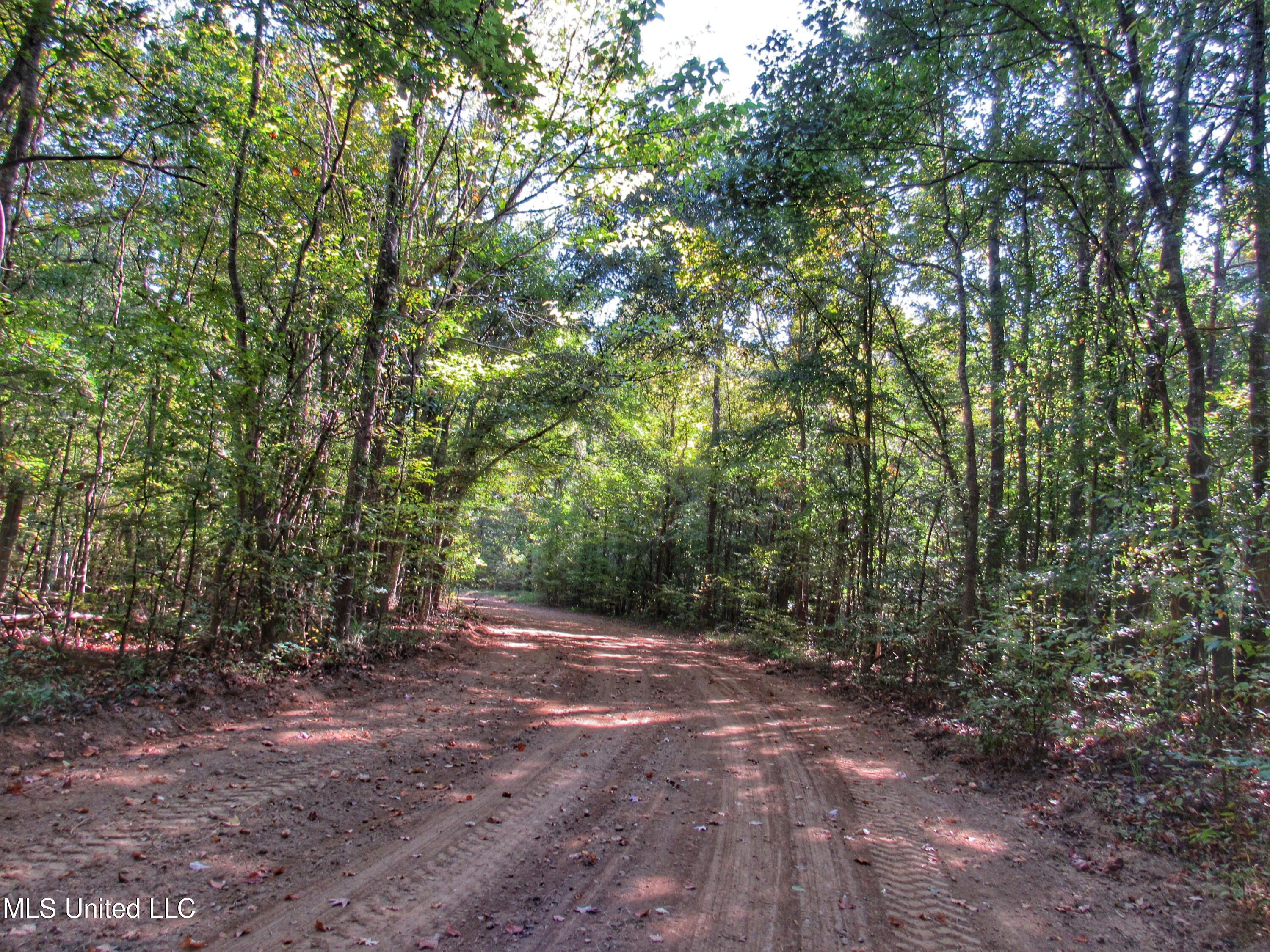 Anding Oil City Road, Bentonia, Mississippi image 7