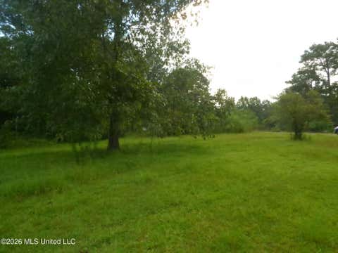 Vacant Land For Sale - 967 SE Bogue Chitto Road<br/> Lincoln County, Bogue Chitto, MS 39629