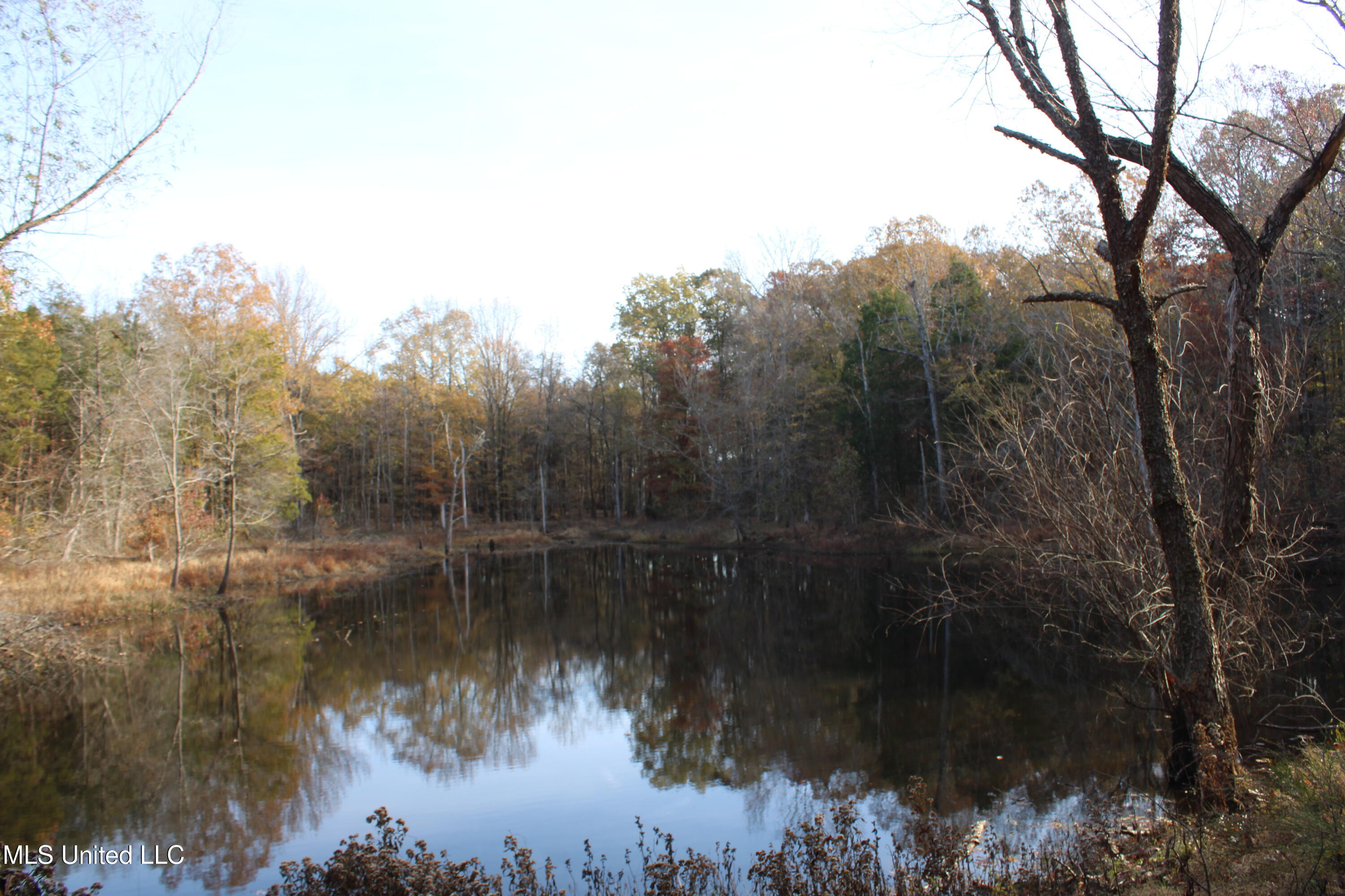 S Slayden Road, Lamar, Mississippi image 12