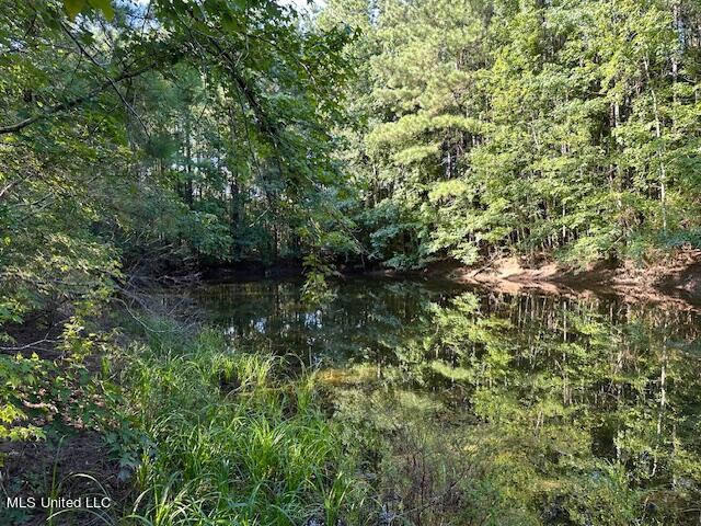 Hilt Fornea Road, Poplarville, Mississippi image 2