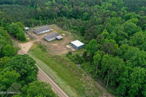 Vacant Land For Sale - 001 Highway 14<br/> Winston County, Louisville, MS 39339