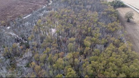 Vacant Land For Sale - 237 King Williams Road<br/> Sunflower County, Indianola, MS 38751