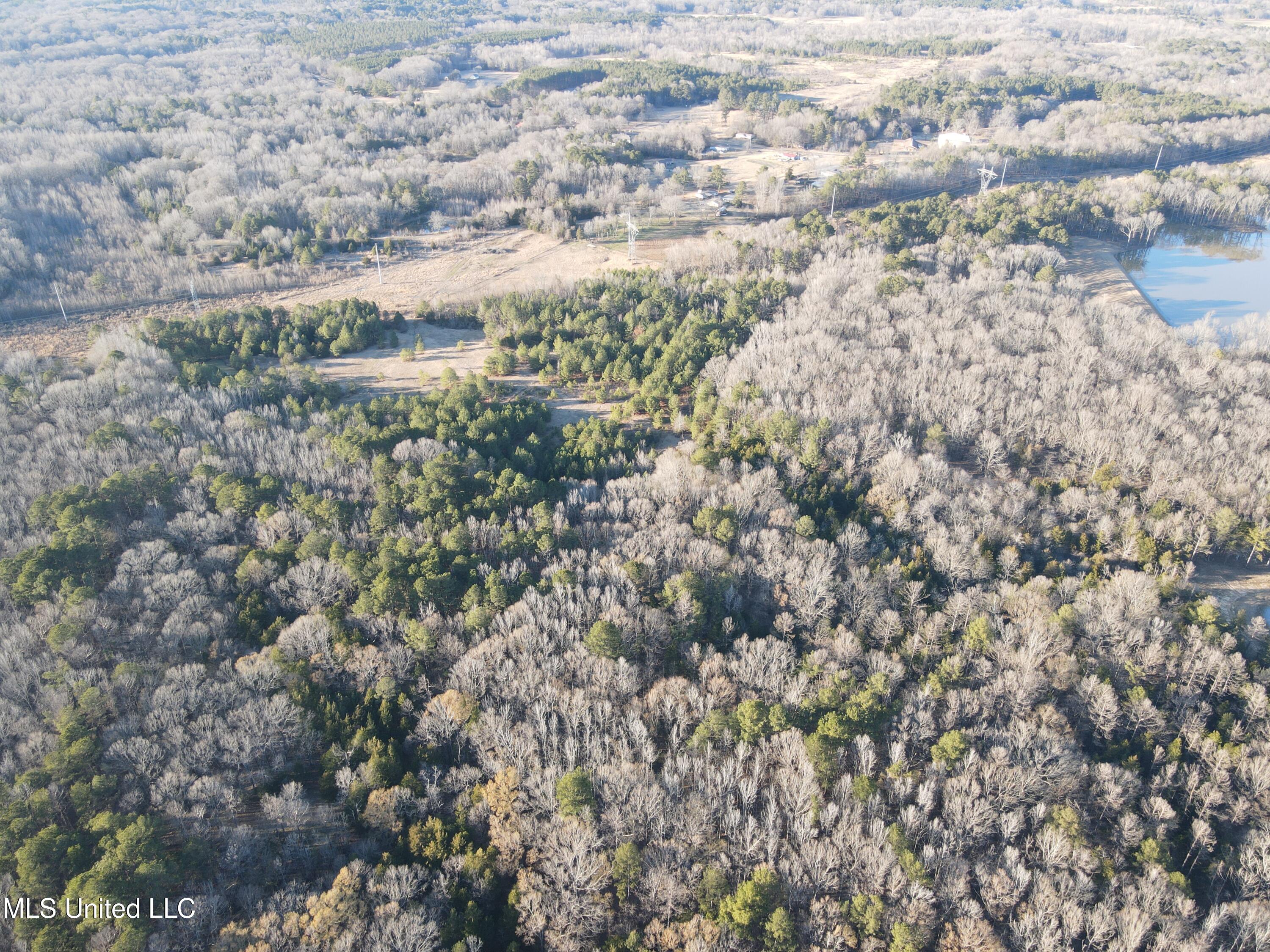 Springwood Trail, Flora, Mississippi image 49