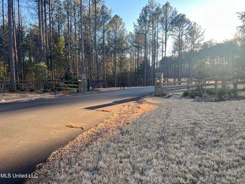 Vacant Land For Sale - Springwood Trail<br/> Flora, MS 39071