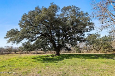 Vacant Land For Sale - 255 J P Thomas Road<br/> Amite, LA 70422